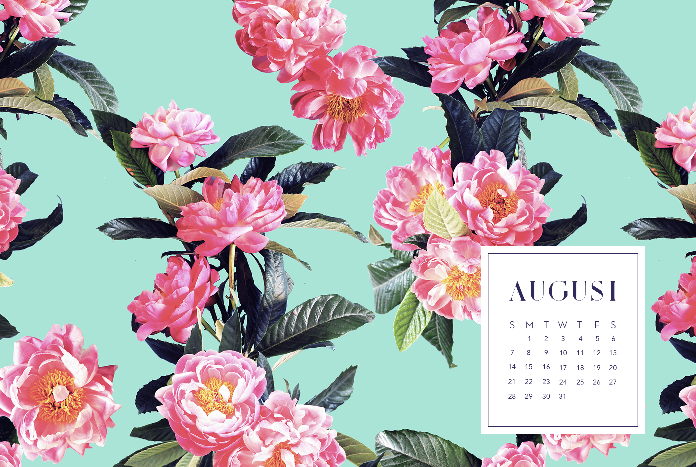 August 2016 Wallpapers - August 2017 Calendar Desktop Background - HD Wallpaper 