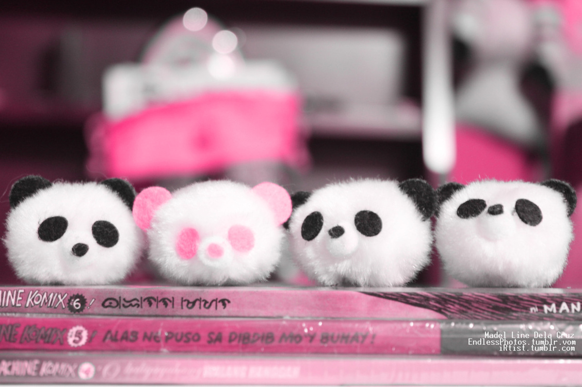 Adorable, Cute And Fluffy - Adorable Panda Cute Panda - HD Wallpaper 
