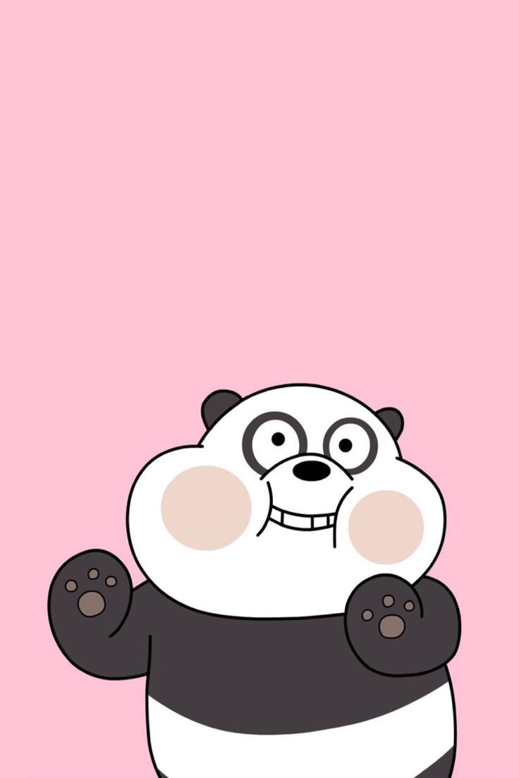 Ursos Sem Curso Panda - HD Wallpaper 