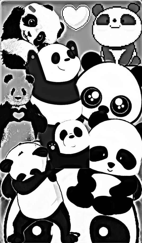 Cute Panda Wallpaper Black And White - HD Wallpaper 