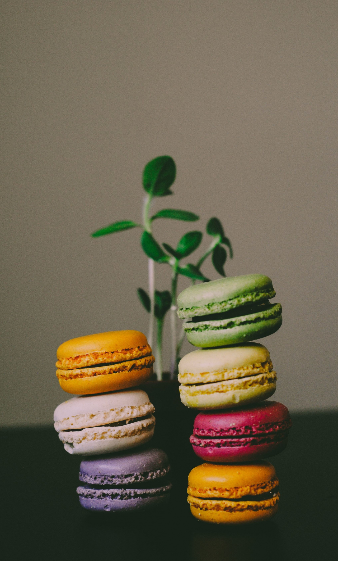 Macarons, Plants, Colorful, Wallpaper - Iphone 6 Macaron - HD Wallpaper 