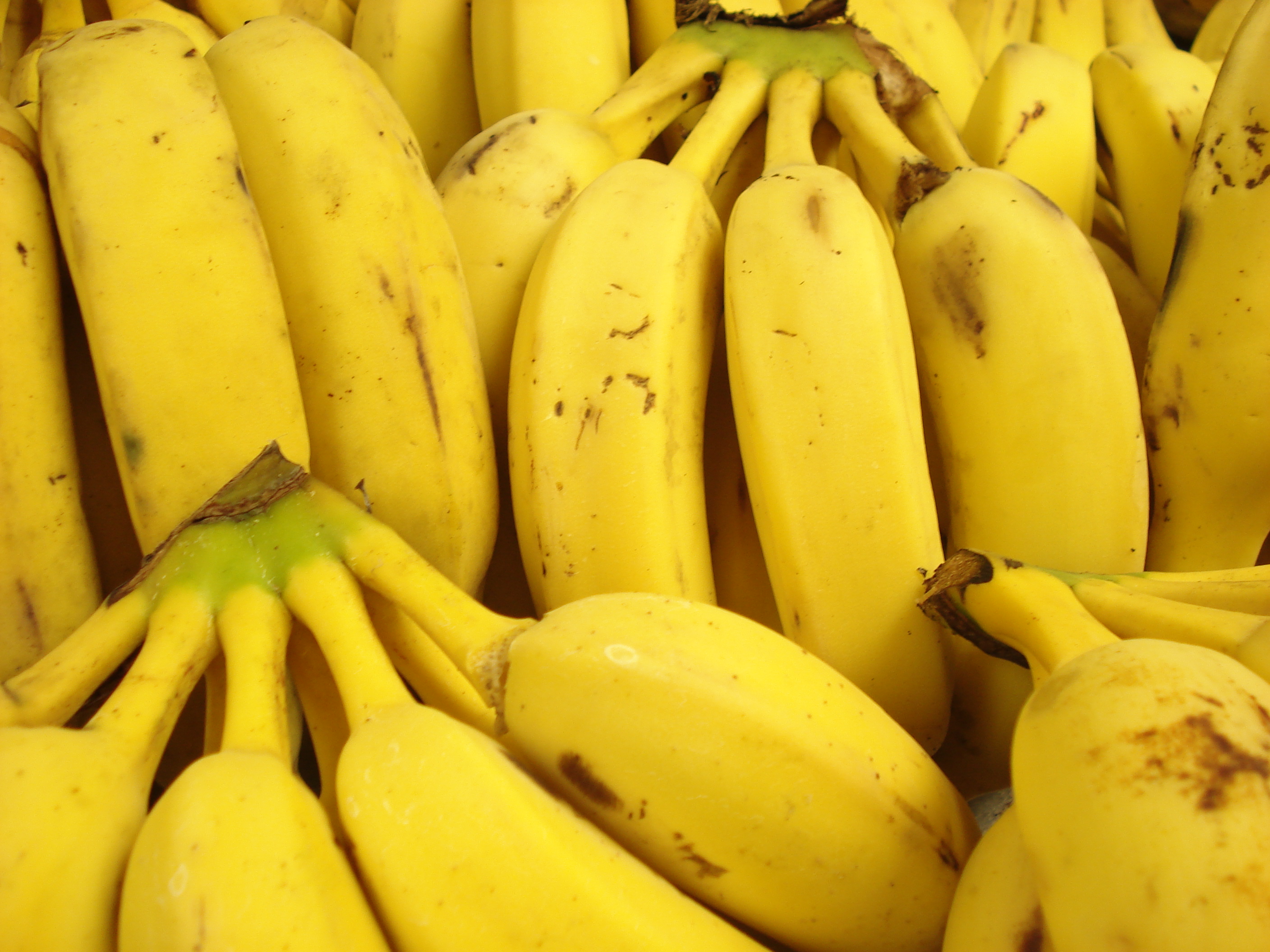 Fruits, Bananas, Download Photo, Banana Wallpaper, - Banana Fruit - HD Wallpaper 