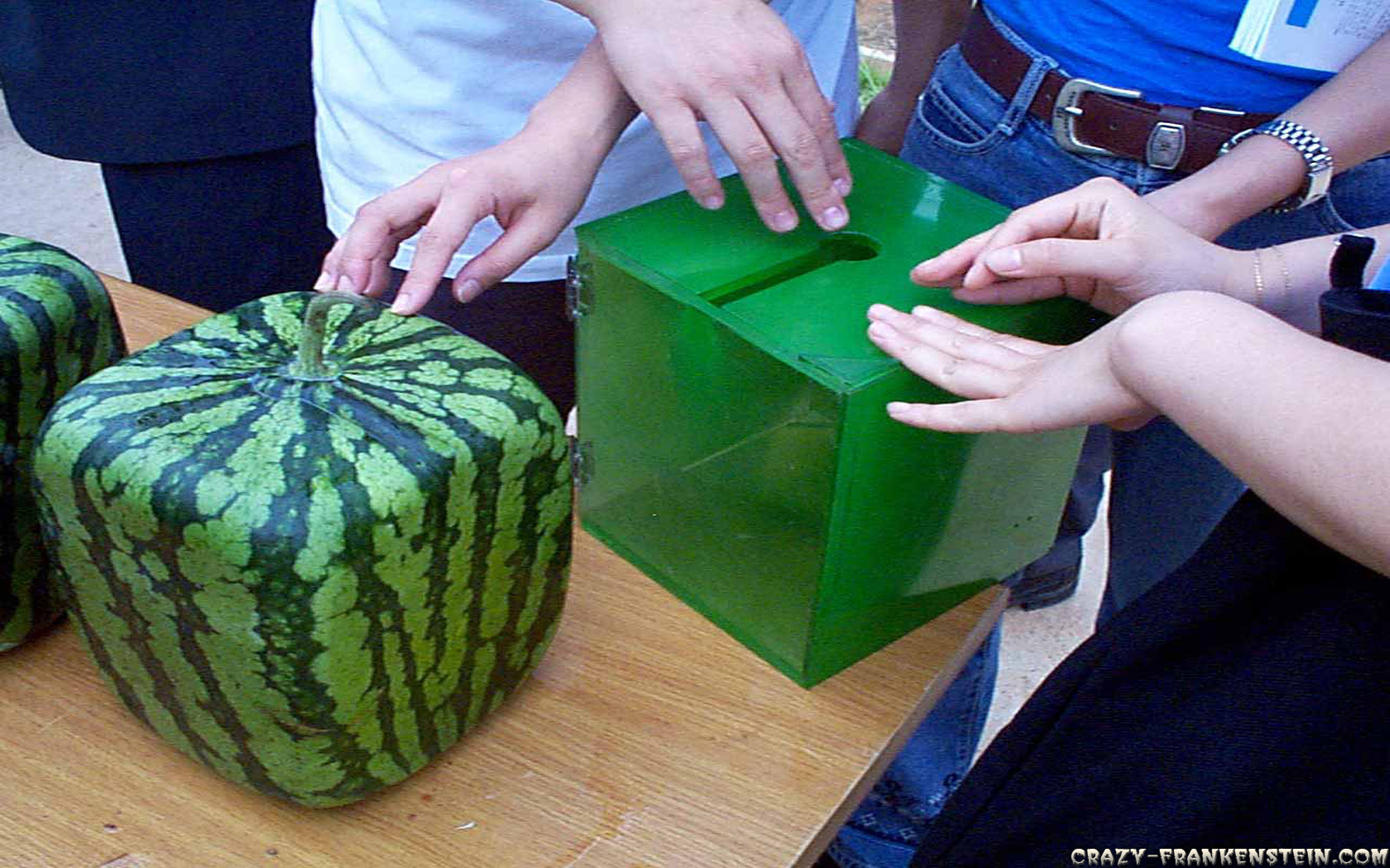 Super Mario Sunshine Square Watermelon - HD Wallpaper 