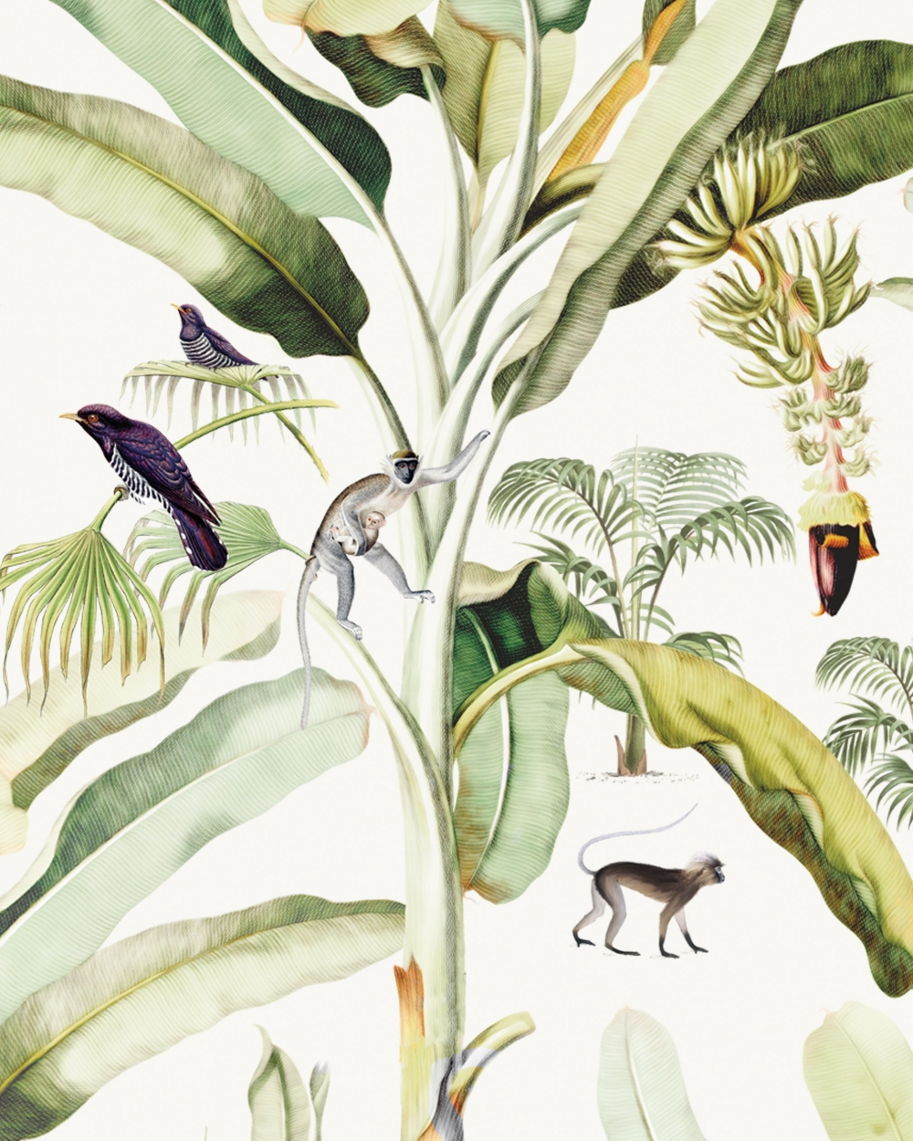 Baby Bananas A Design From Creative Lab Amsterdam Wallpaper - Creative Lab Amsterdam Baby Bananas - HD Wallpaper 