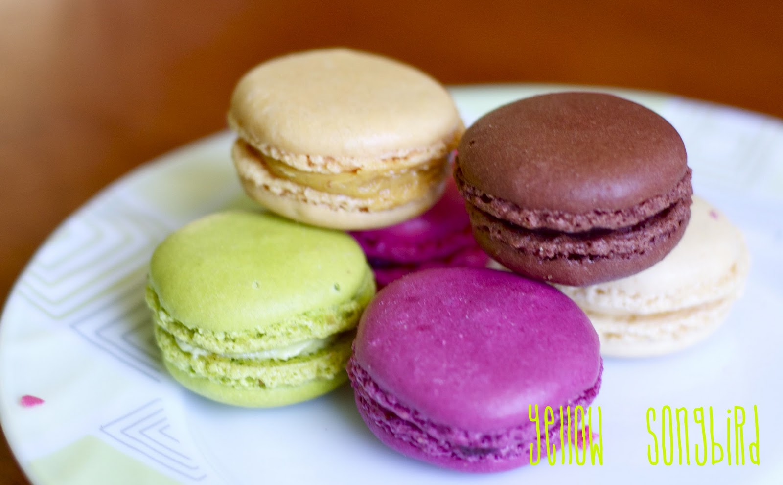 Macaroon - HD Wallpaper 