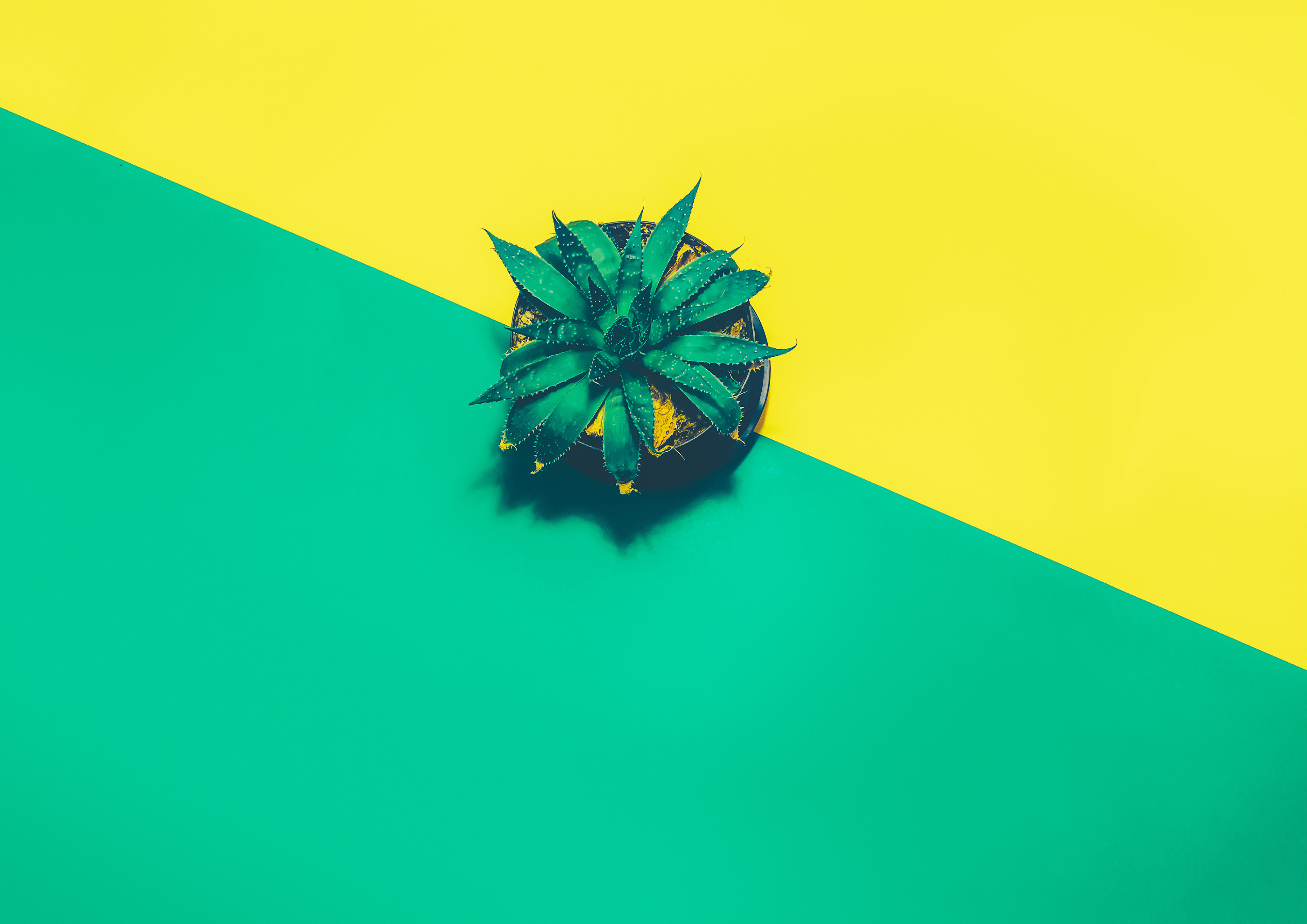 4k Pineapple - HD Wallpaper 