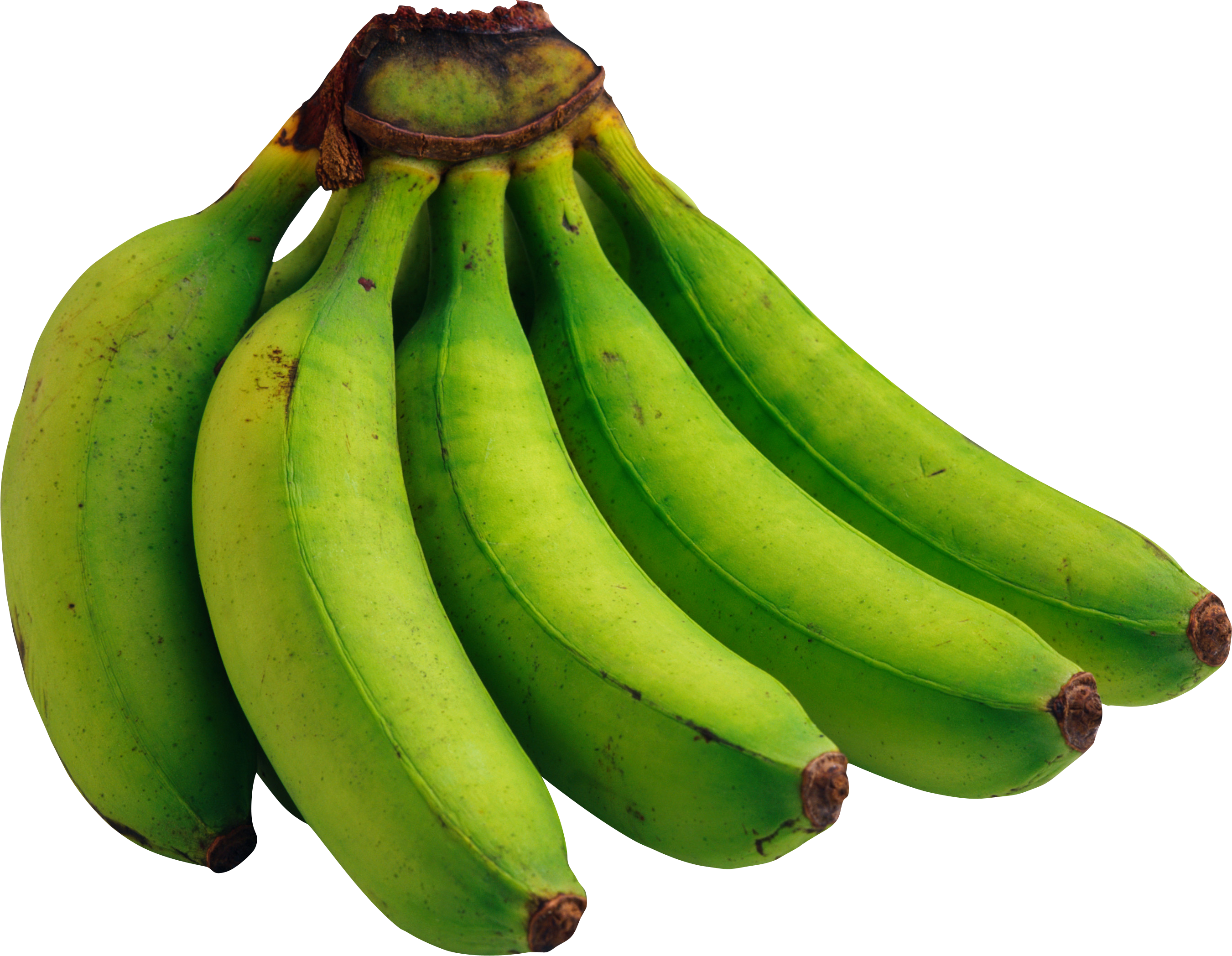 Green Bananas Png Image, Free Picture - HD Wallpaper 