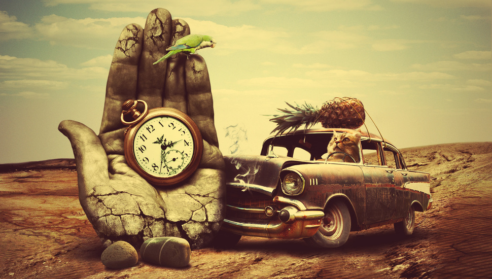 Machine, Watch, Parrot, Palm, Accident, Cat, Pineapple - Hd Wallpapers Old Cars - HD Wallpaper 