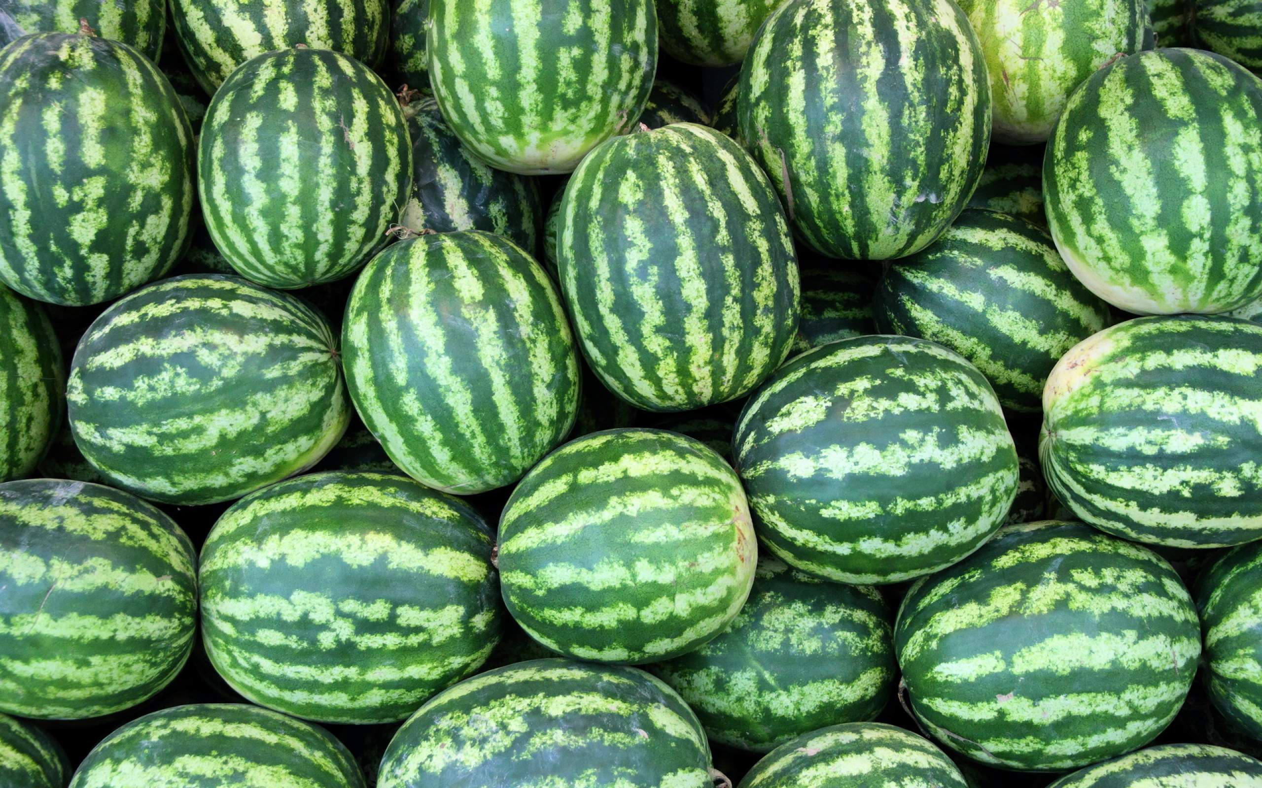 Watermelon Pile - HD Wallpaper 