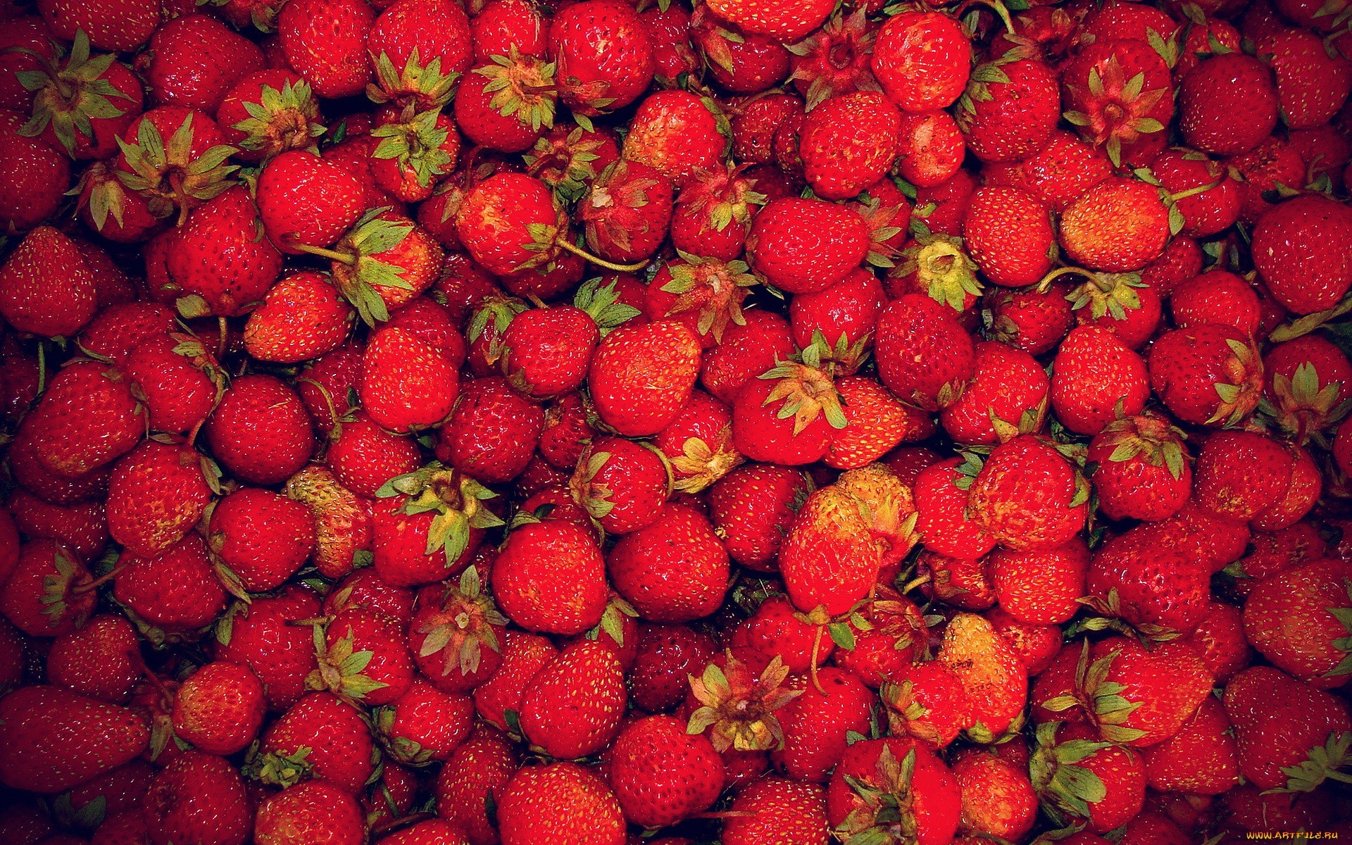 Data Src Best Strawberry Wallpaper For Iphone - Strawberry Full Hd - HD Wallpaper 