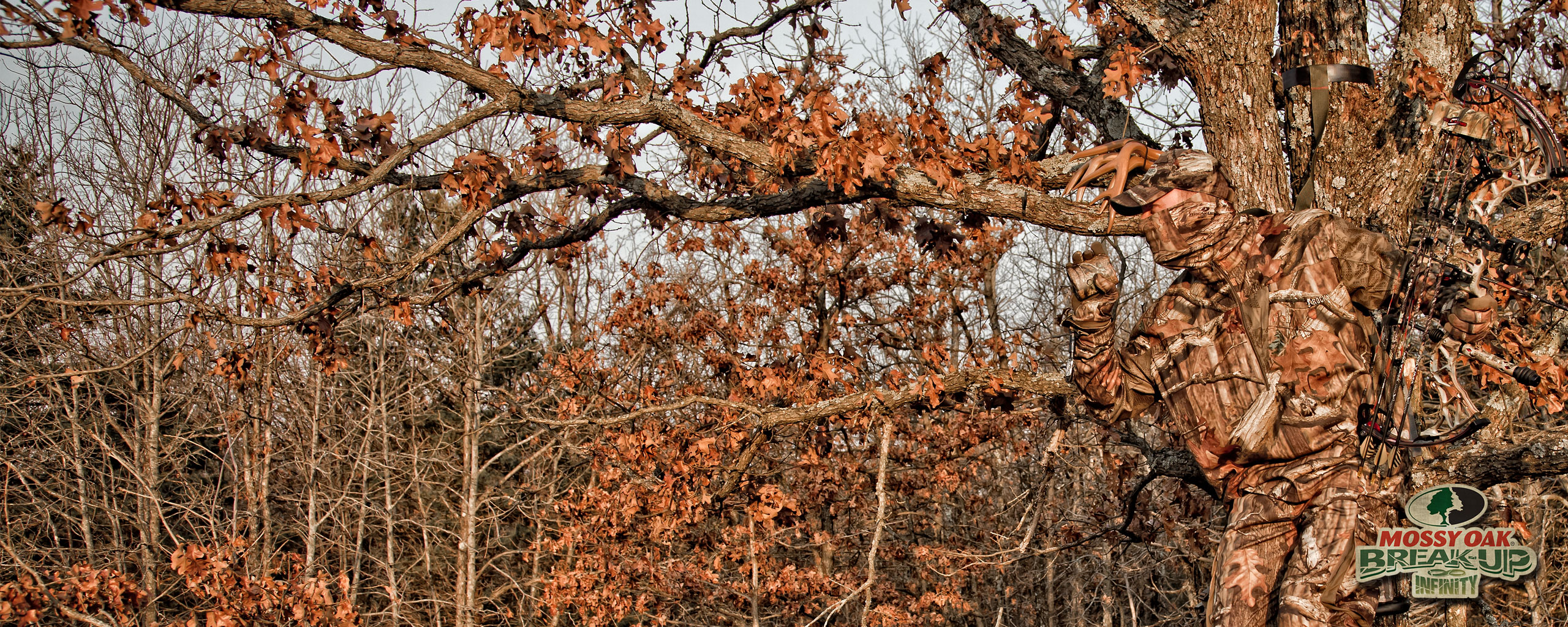 Background Breakup - HD Wallpaper 