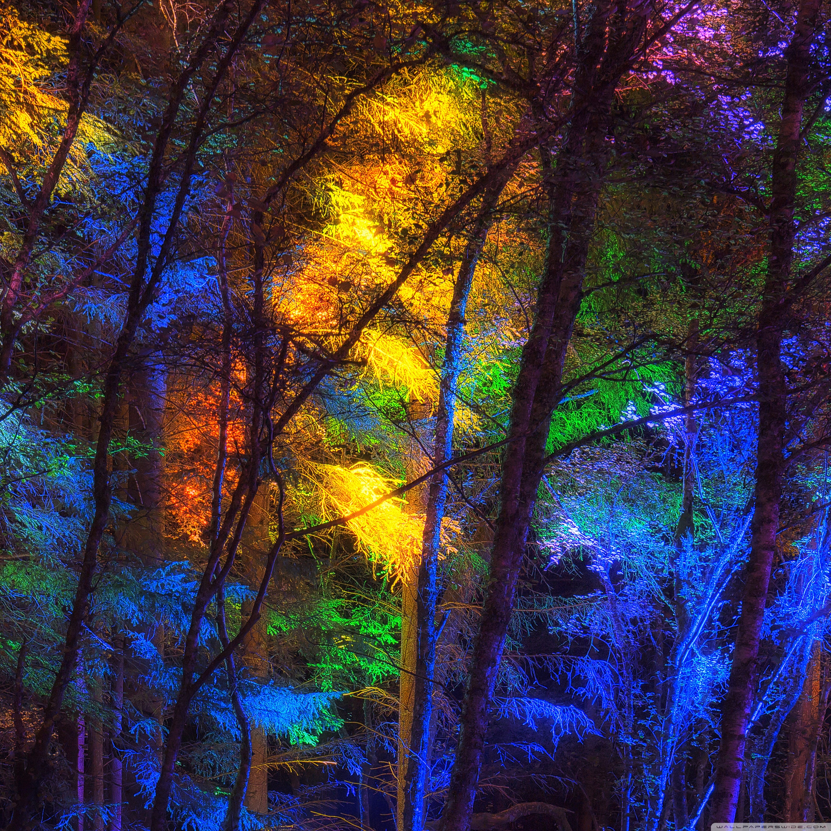 2732x2732 Wallpaper - HD Wallpaper 