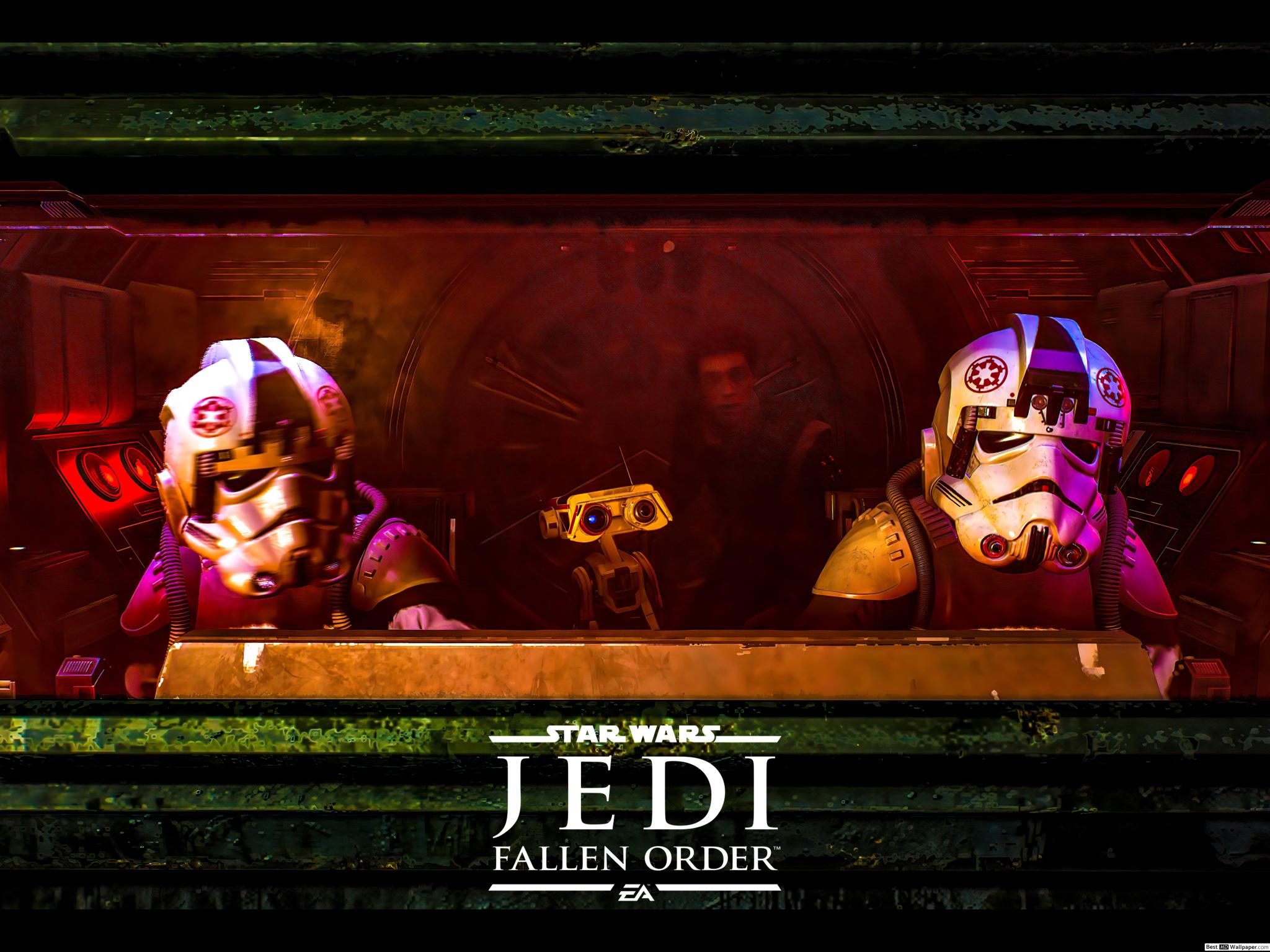 4k Resolution - HD Wallpaper 