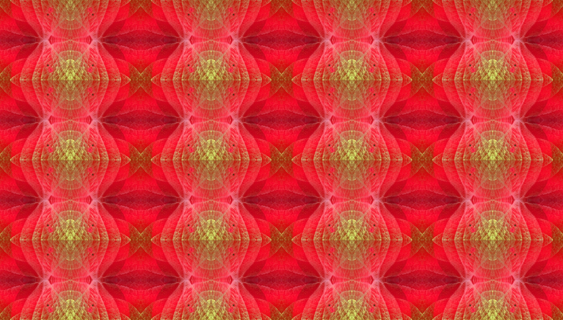 Colorfulness - HD Wallpaper 