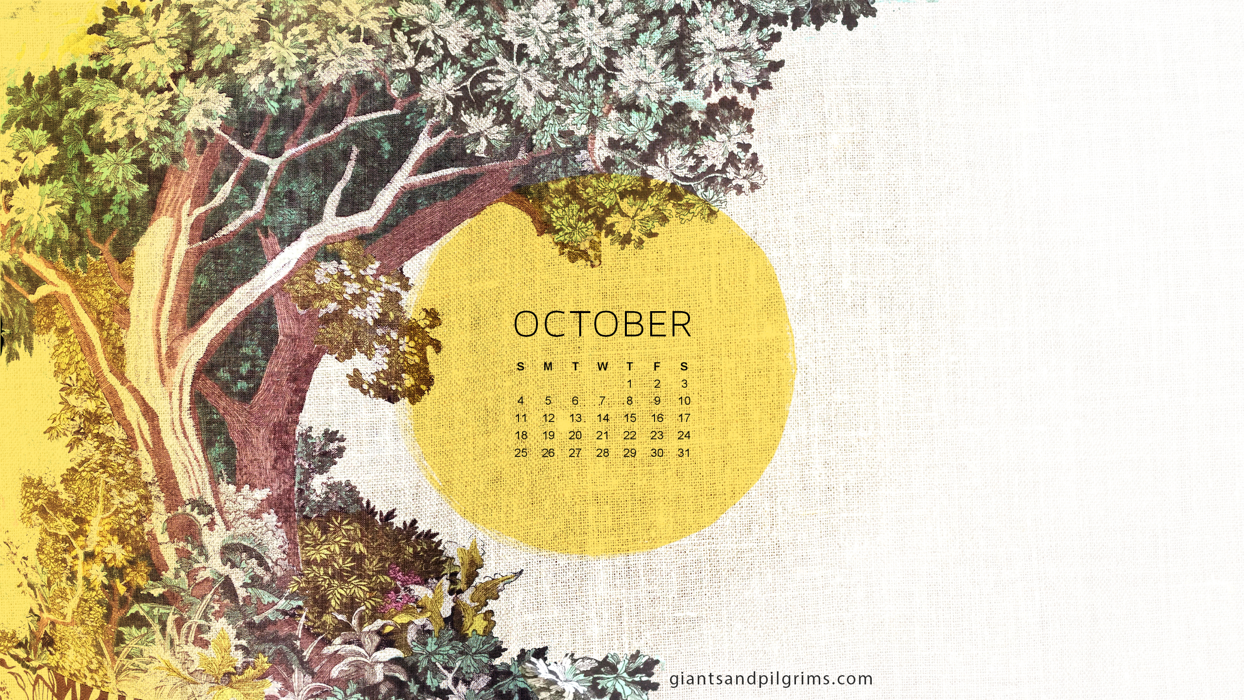 October 2015 Desktop - October 2017 Calendar Desktop Background - HD Wallpaper 