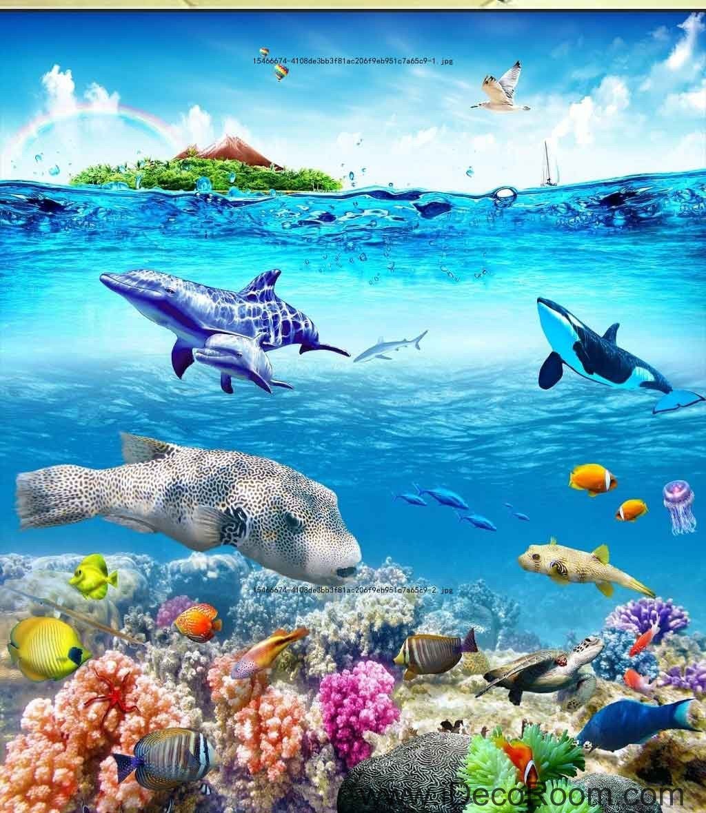 Coral - HD Wallpaper 