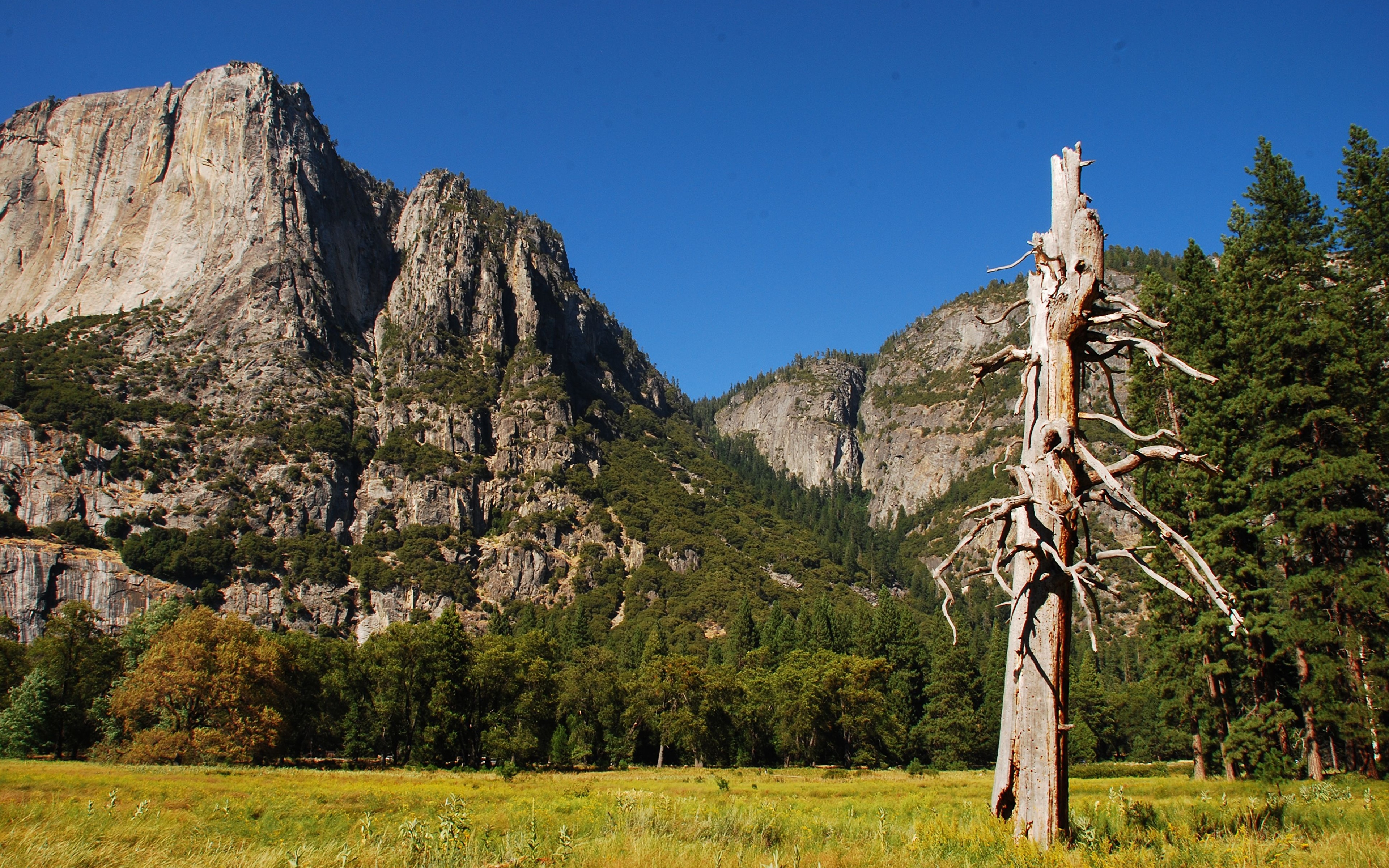 Yosemite National Park, Yosemite Falls - HD Wallpaper 