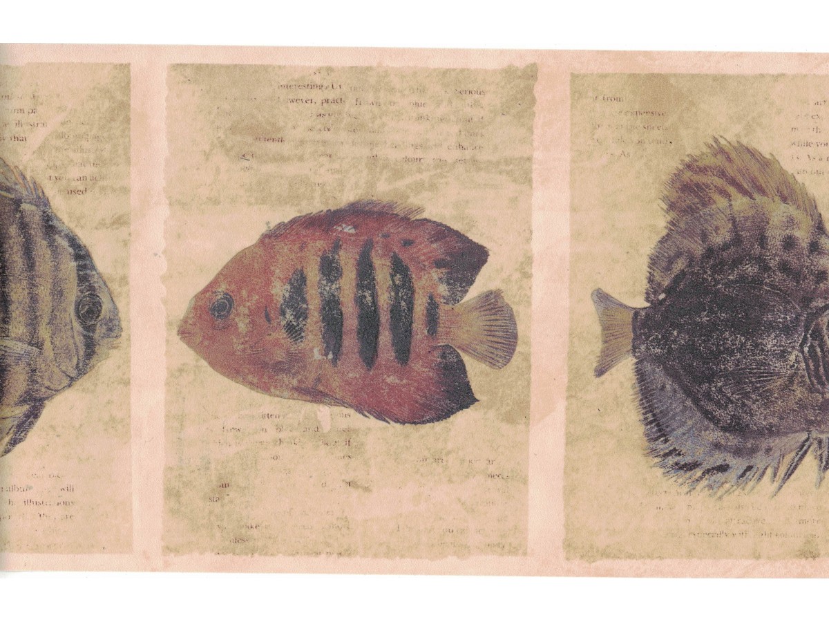 Fish Wallpaper For Walls - HD Wallpaper 