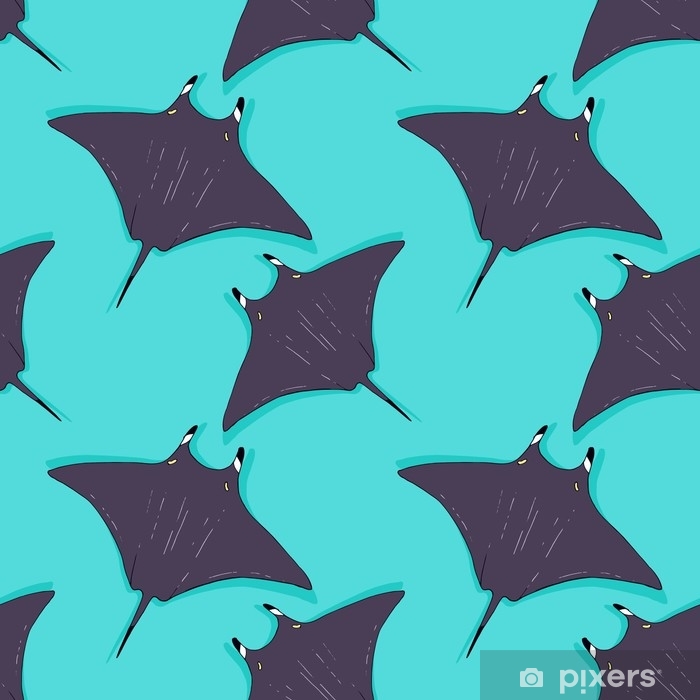 Manta Ray Birds Eye View - HD Wallpaper 