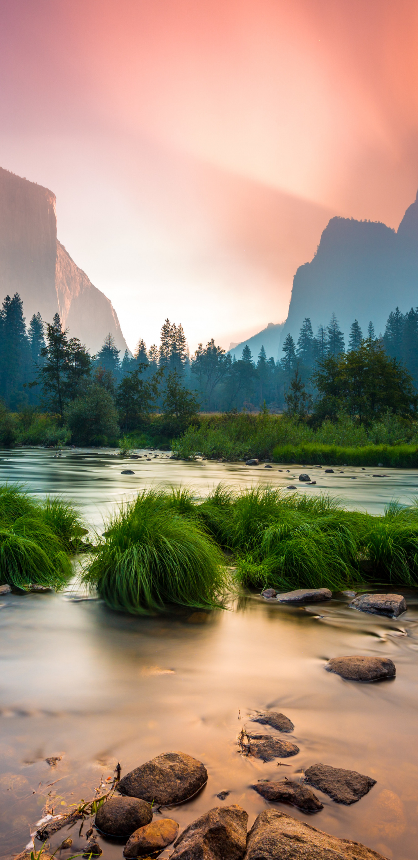 Happy New Year 2020 Daughter - HD Wallpaper 