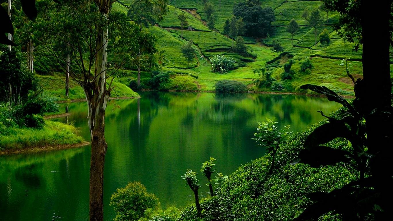 Download Laptop Scenic Computer Wallpaper Id - Nuwara Eliya Sri Lankan - HD Wallpaper 