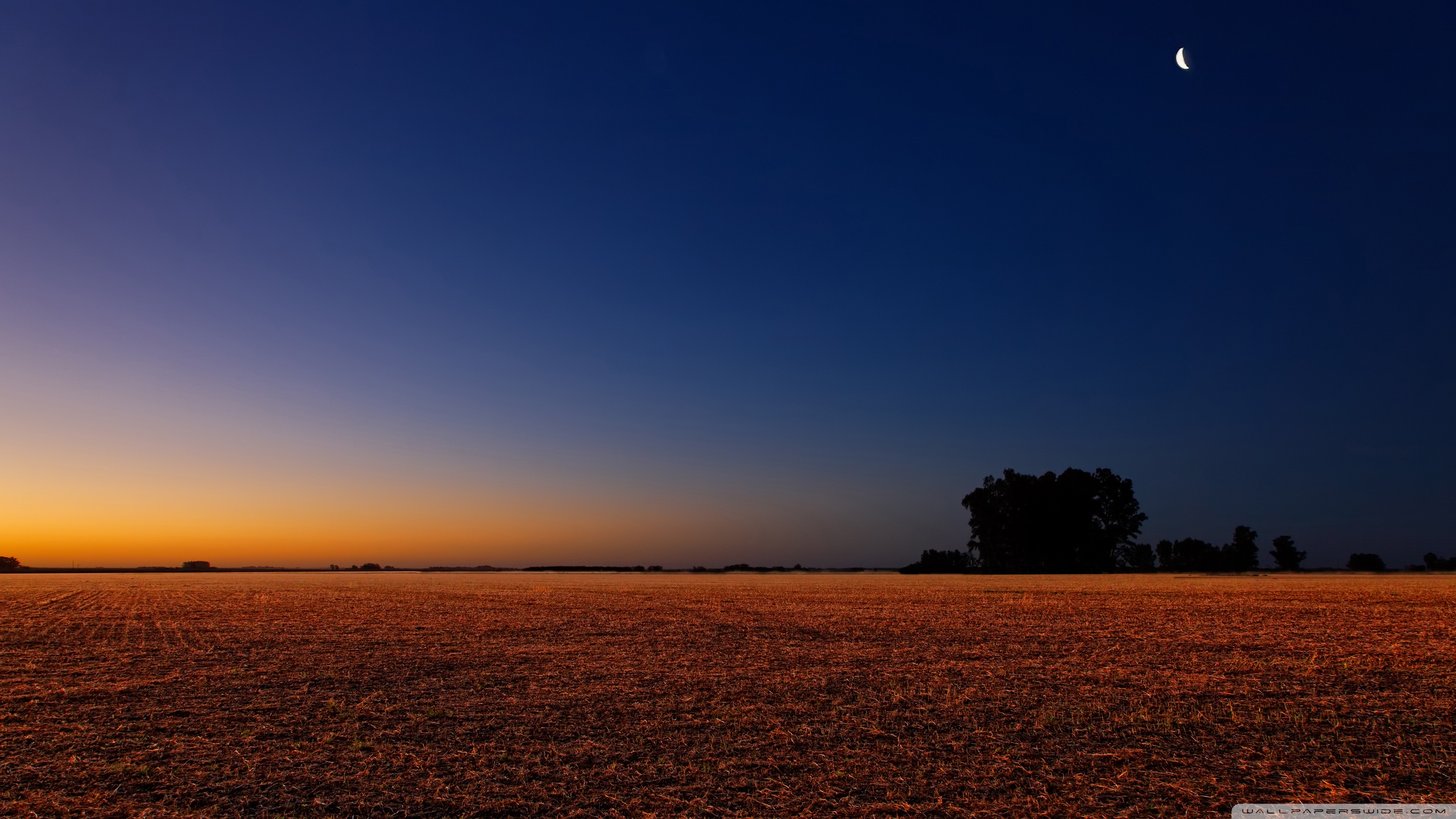 Image Of Landscape Wallpaper Hd - Night Landscape Background Hd - HD Wallpaper 