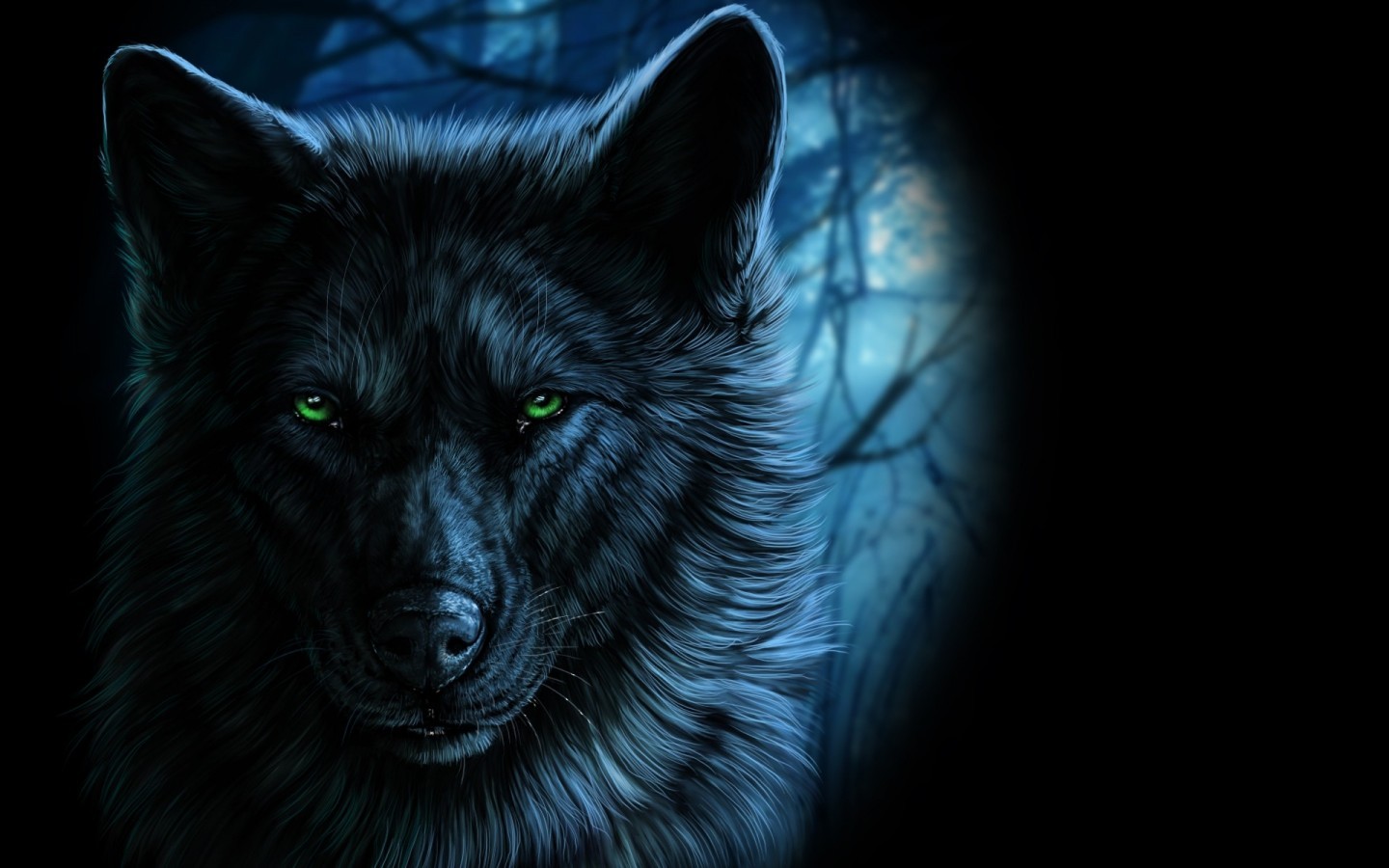 Wolf, Majestic, Green Eyes - Green Eyed Black Wolf - HD Wallpaper 