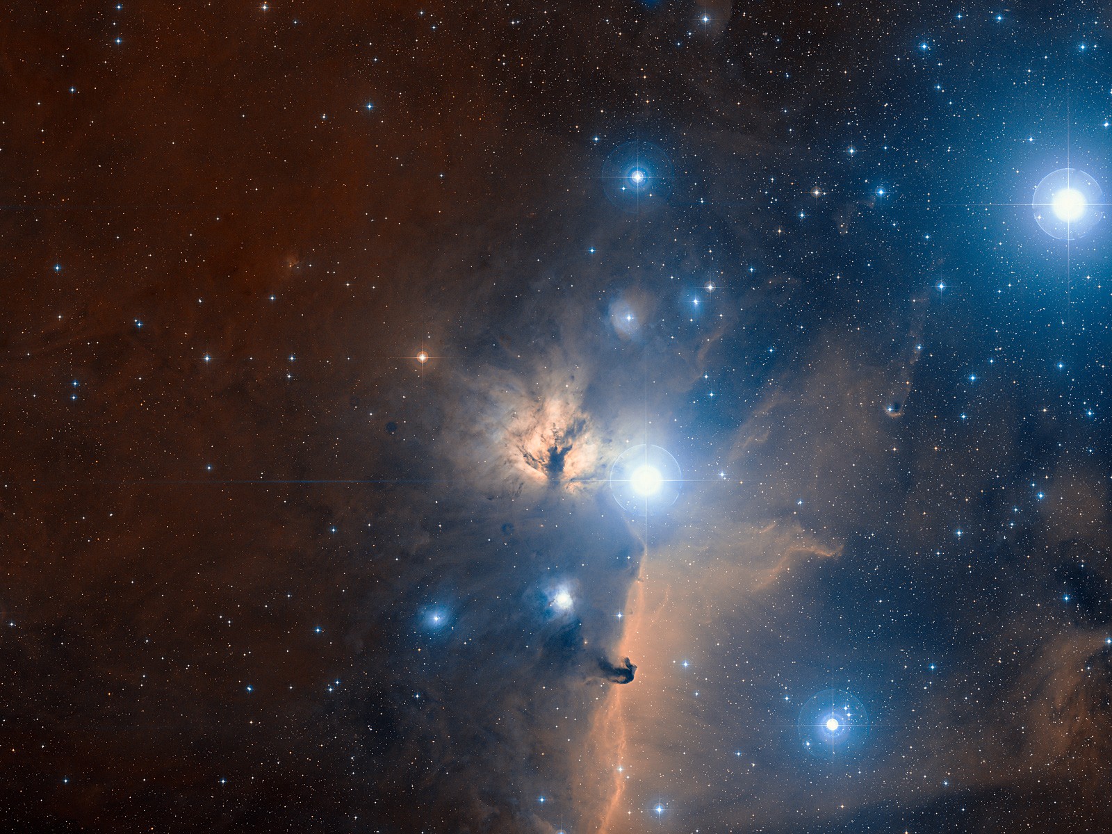 Horsehead Nebula - HD Wallpaper 