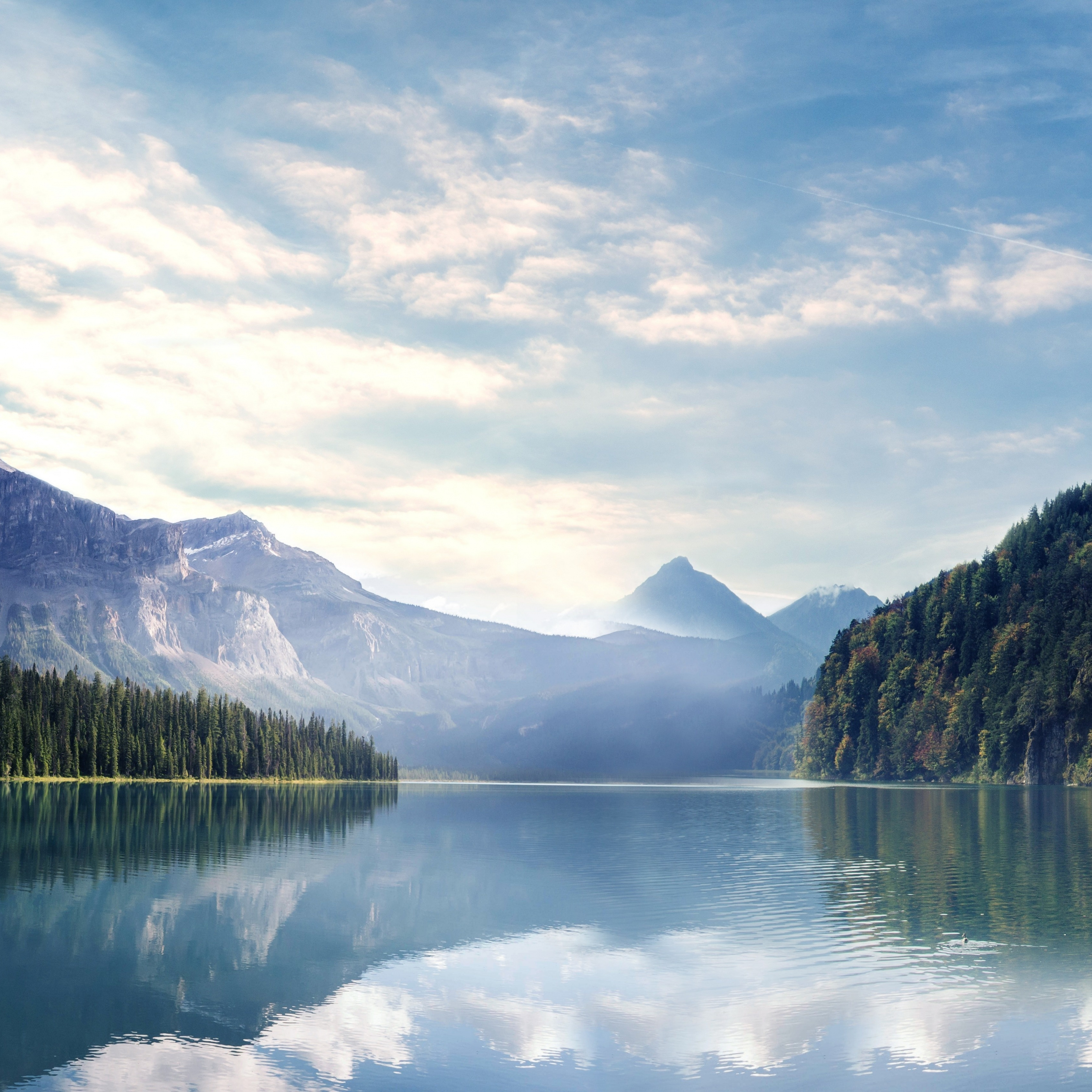 Lake, Nature, Mountains, Forest, Sky, Trees, Wallpaper - HD Wallpaper 