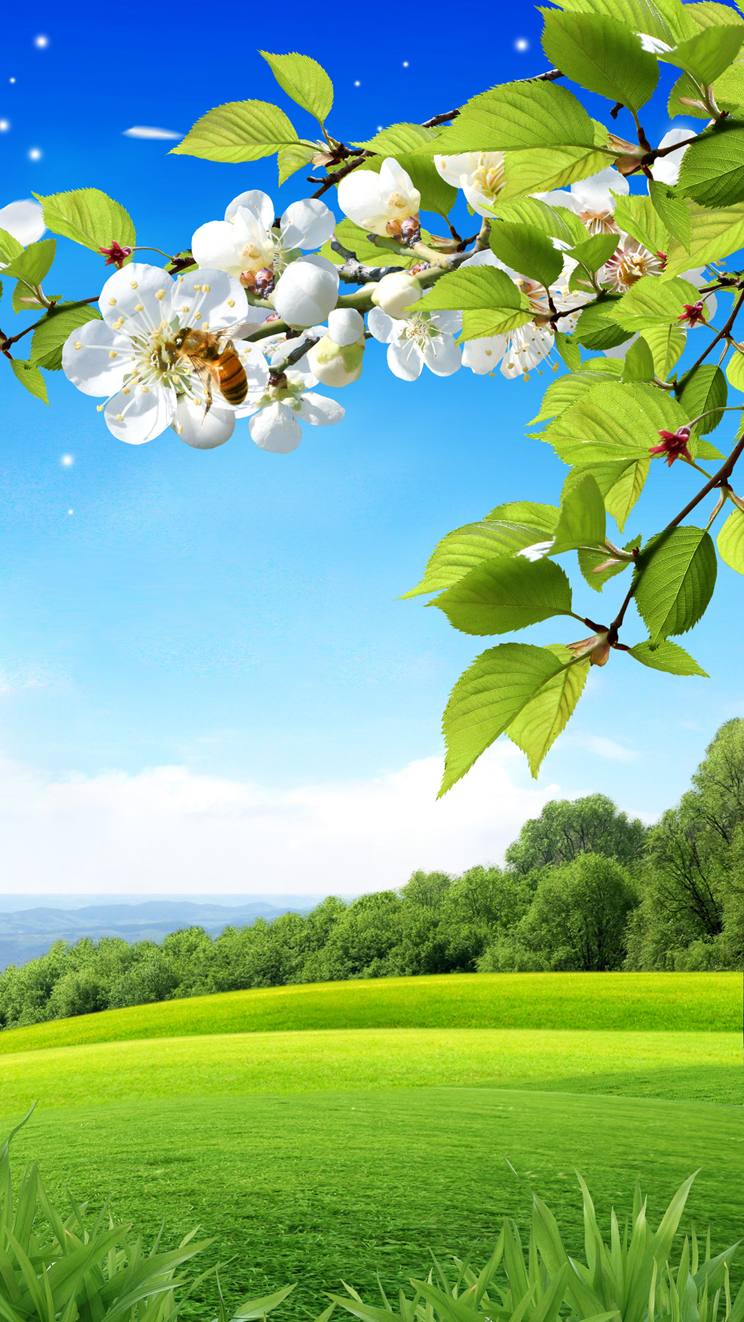 Spring Background Wallpaper - Spring Wallpaper Hd Iphone 6 - HD Wallpaper 