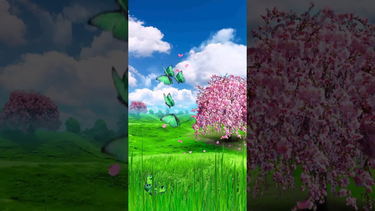 Lilac - HD Wallpaper 