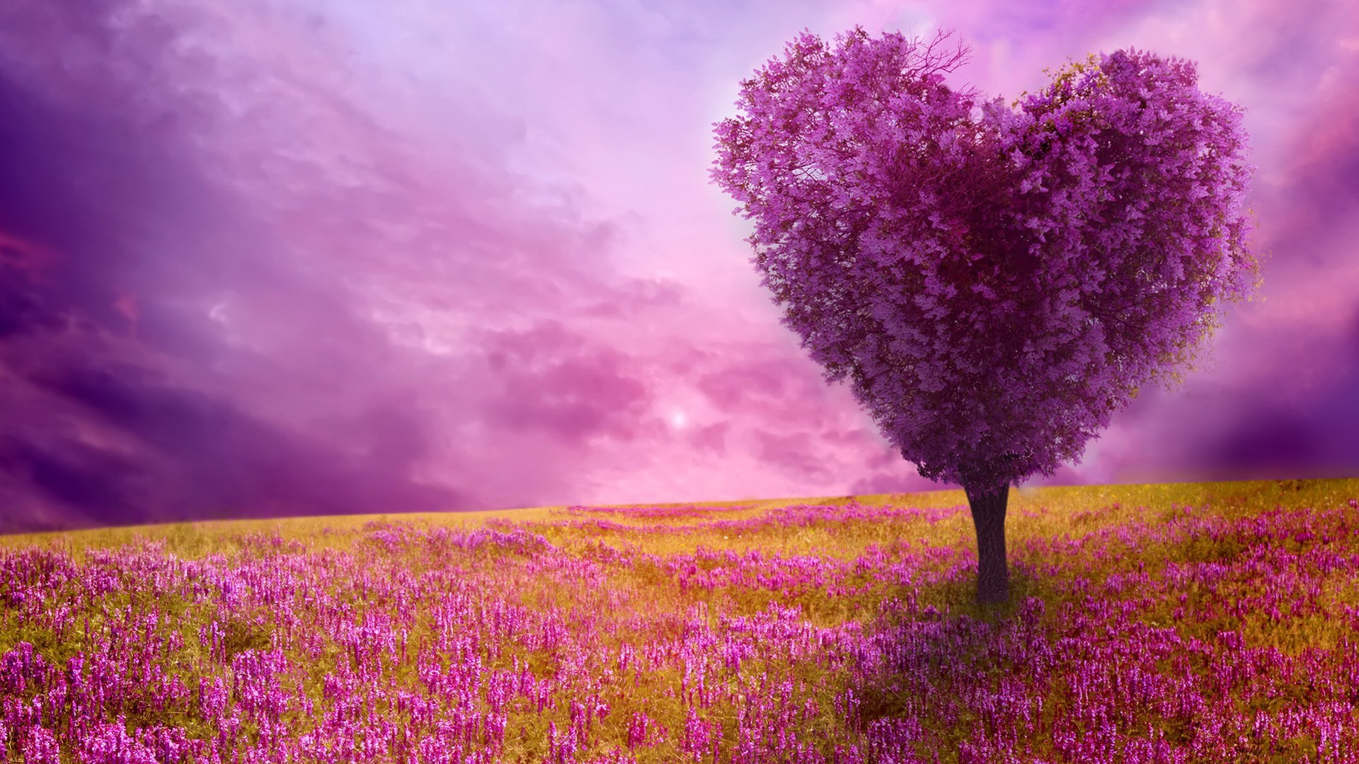 Spring Images Hd 
 Data Src Spring Desktop Backgrounds - Spring Nature Background Hd - HD Wallpaper 