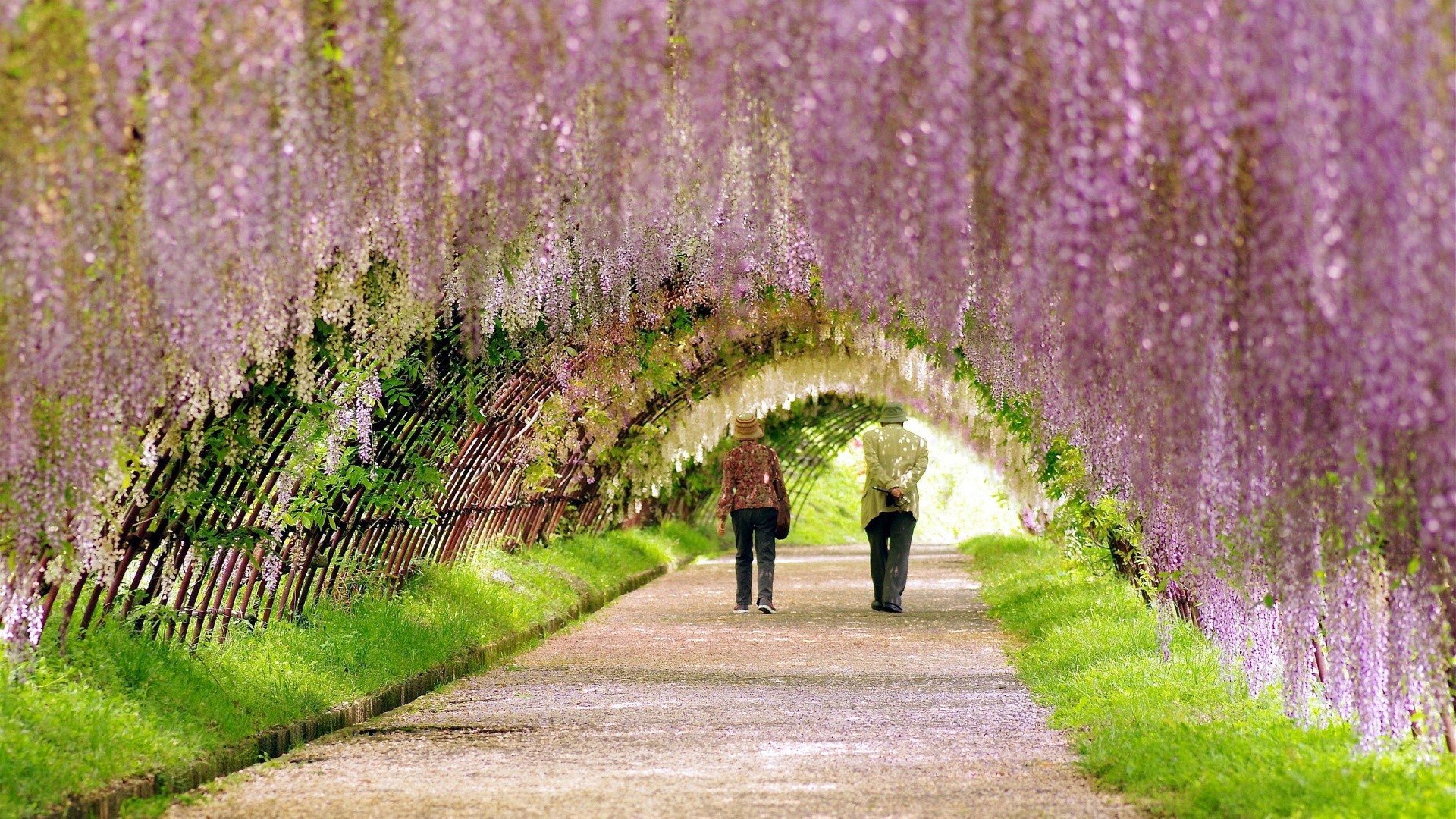 Free Spring Desktop Wallpaper - Laptop Wallpaper Spring 4k - 1920x1080 Wallpaper Free Spring Desktop Wallpaper - Laptop Wallpaper Spring 4k - 1920x1080 Wallpaper