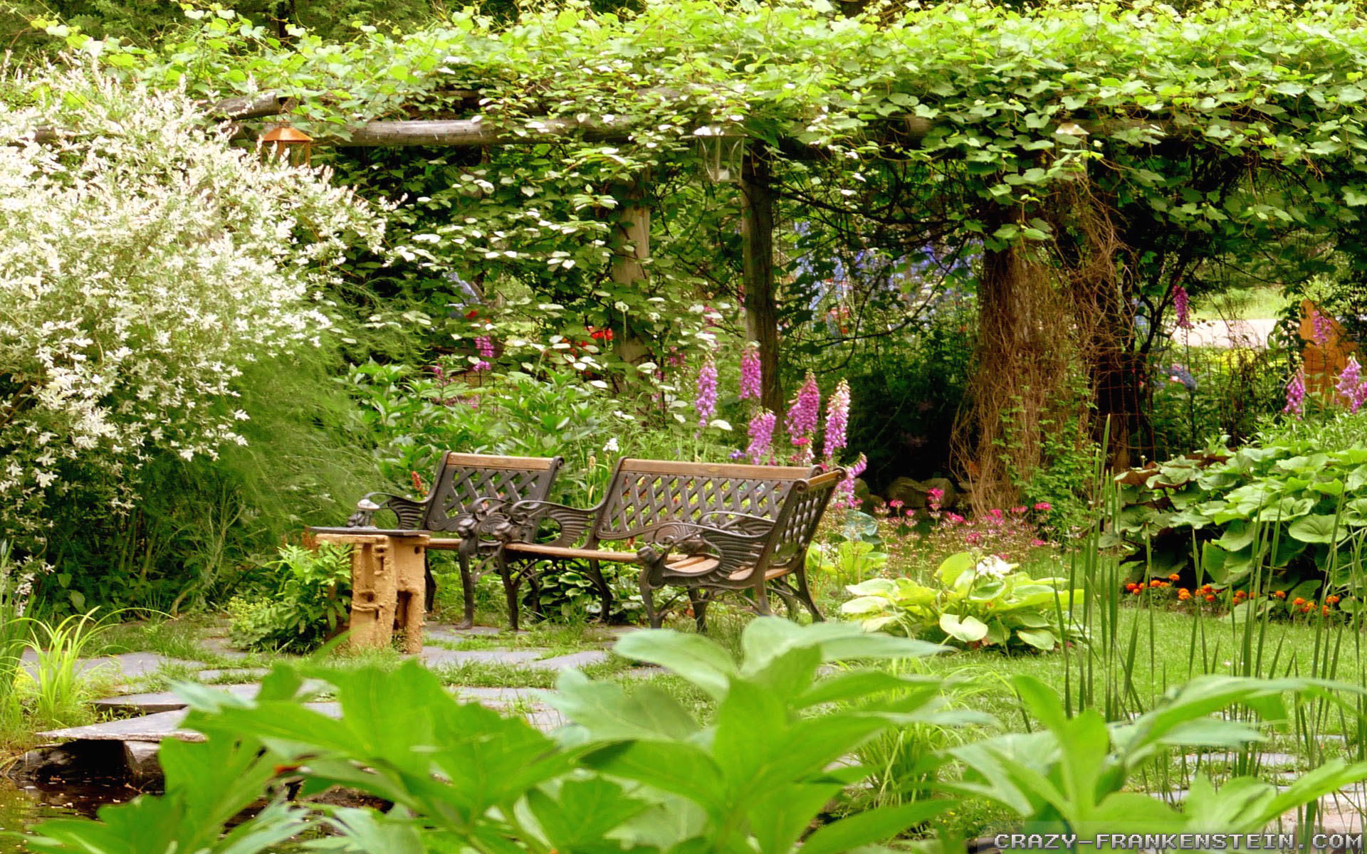 Free Photos Of Summer Gardens - HD Wallpaper 
