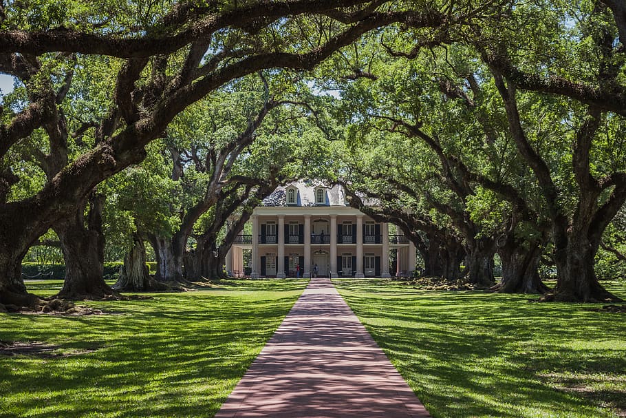 Oak Alley Plantation, Vacherie, United States, Nature, - Oak Alley Plantation - HD Wallpaper 