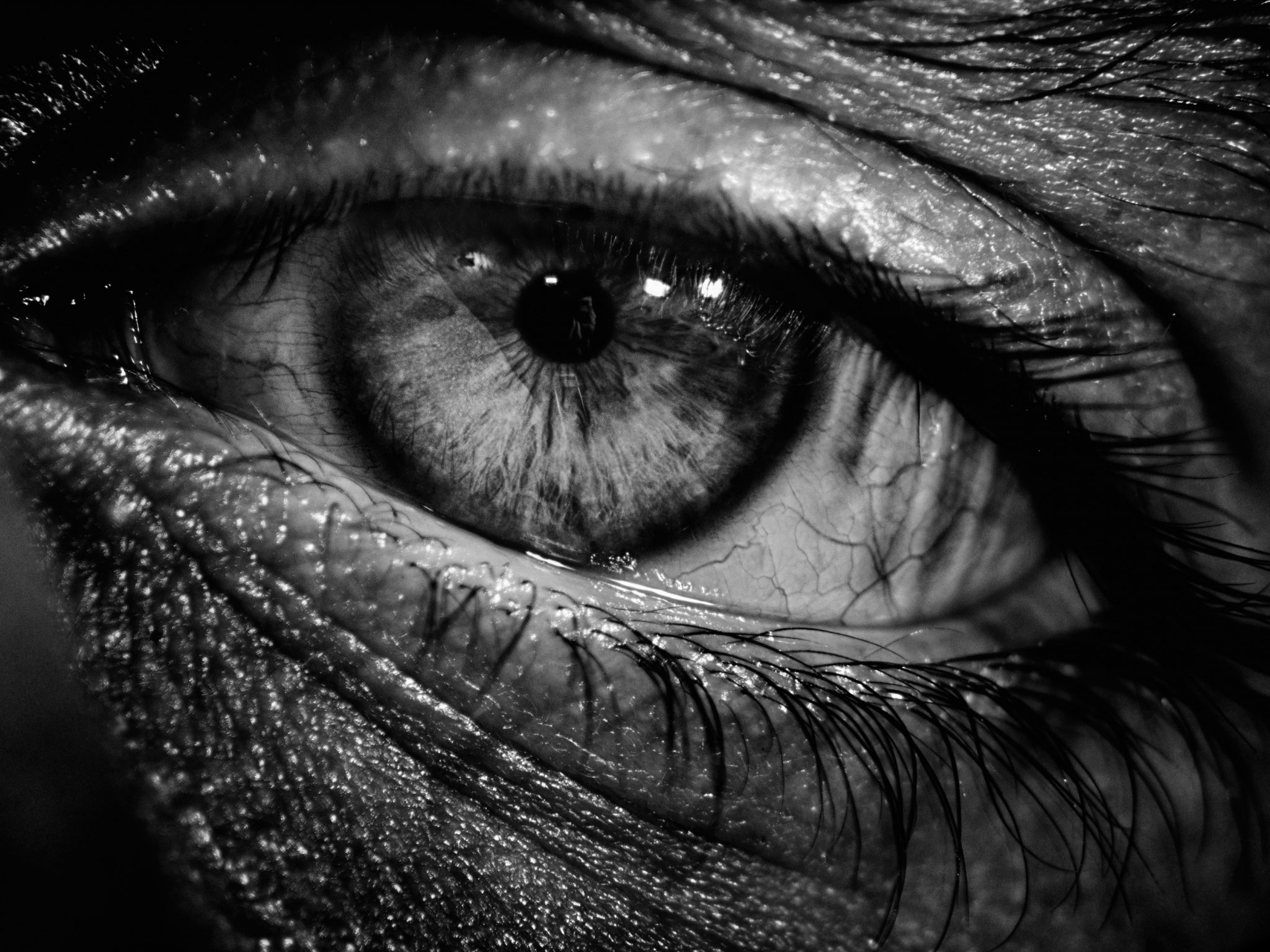 Dark Eye Photography - HD Wallpaper 