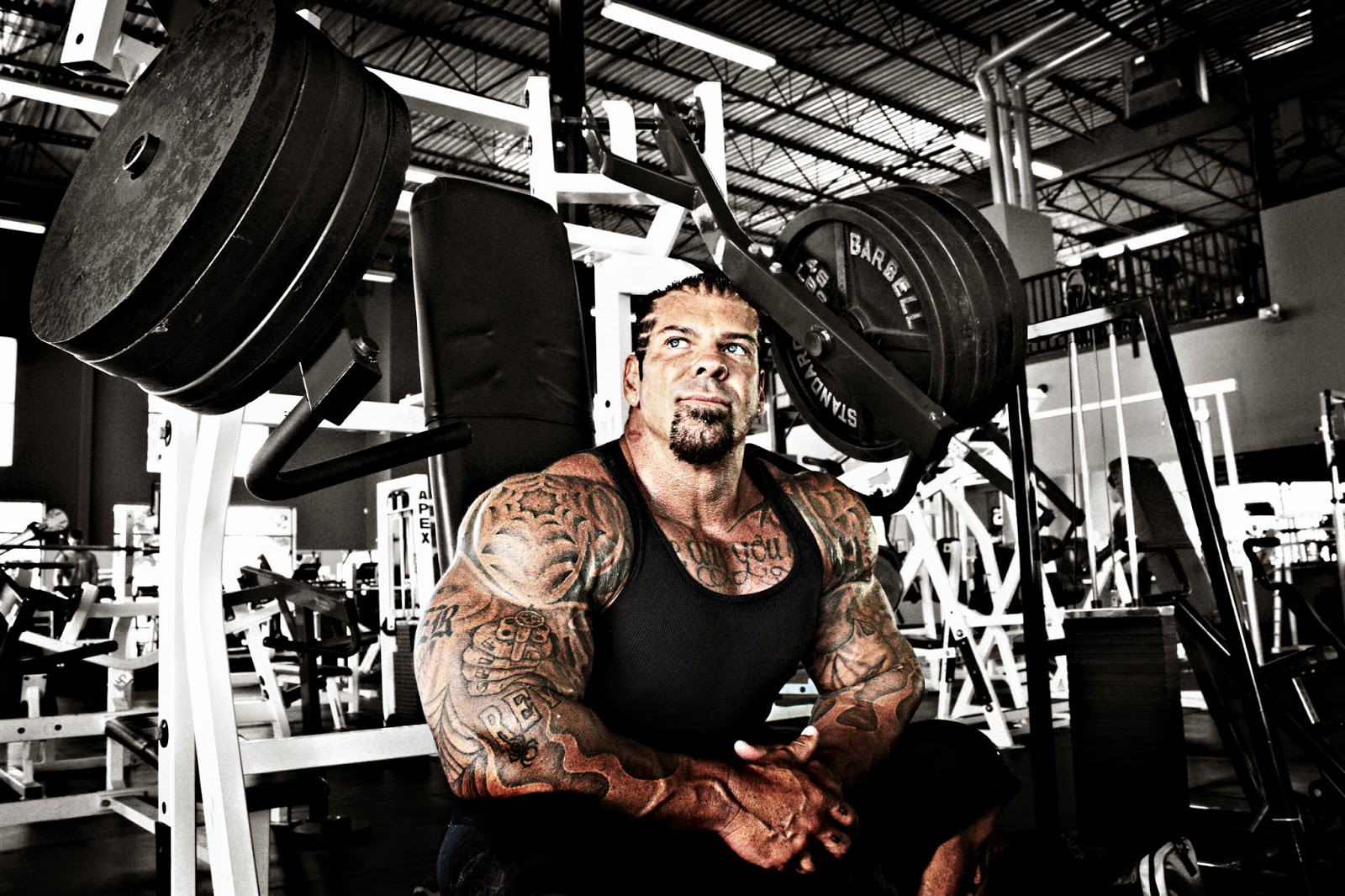 Rich Piana Hd - HD Wallpaper 