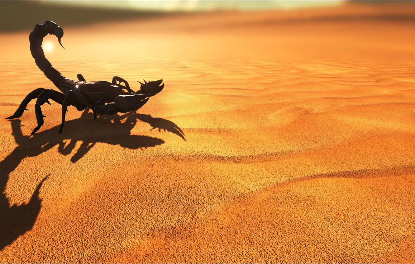 Photo Wallpaper Game, Scorpion, Sand, Suna, Ark Survival - Desert Scorpion - HD Wallpaper 