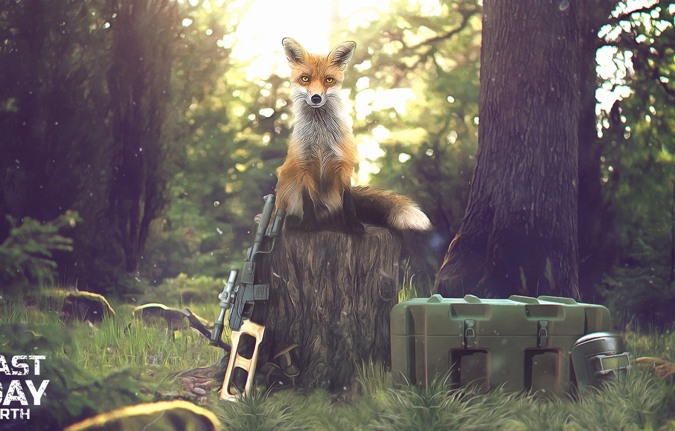 Photo Wallpaper Forest, Weapons, Fox, Mask, Gun, Zombies, - Low Angle Grass Photography - HD Wallpaper 