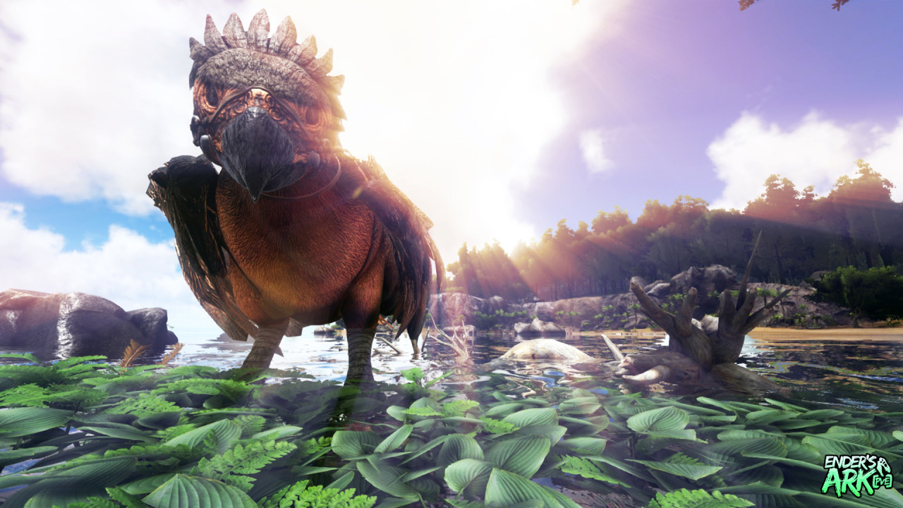 Masai Lion - HD Wallpaper 