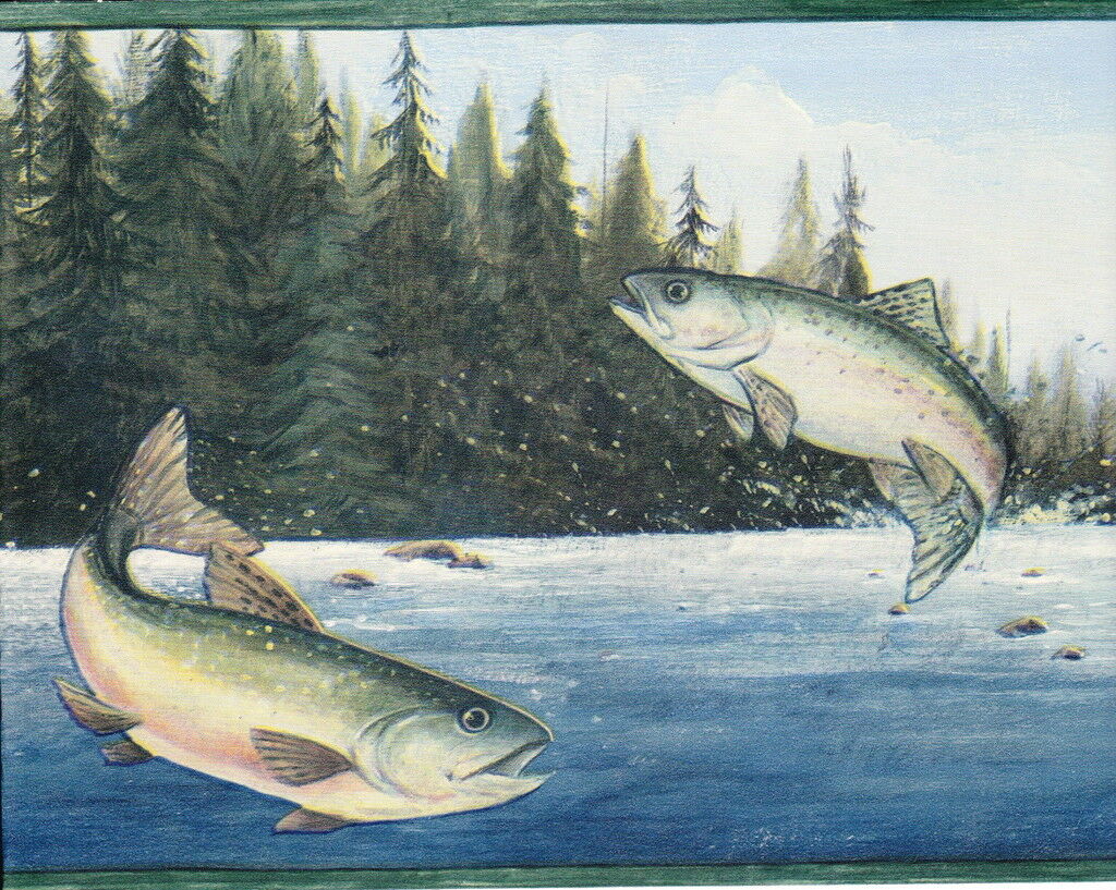 Rainbow Trout - HD Wallpaper 