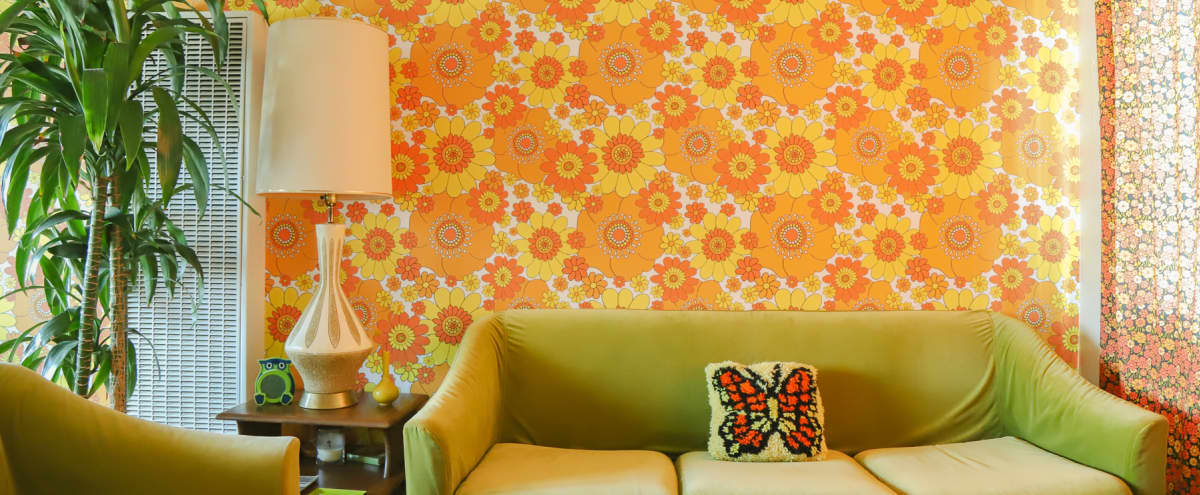 Wallpaper - HD Wallpaper 