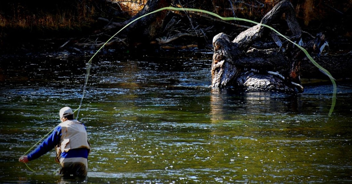 Trout Fly Fishing Wallpaper Amazing Wallpapers - Hd Fly Fishing Desktop Background - HD Wallpaper 