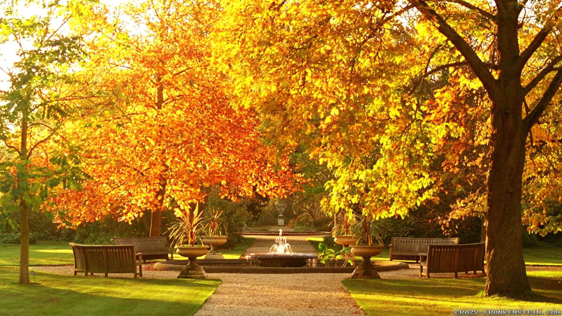 Autumn Garden - HD Wallpaper 