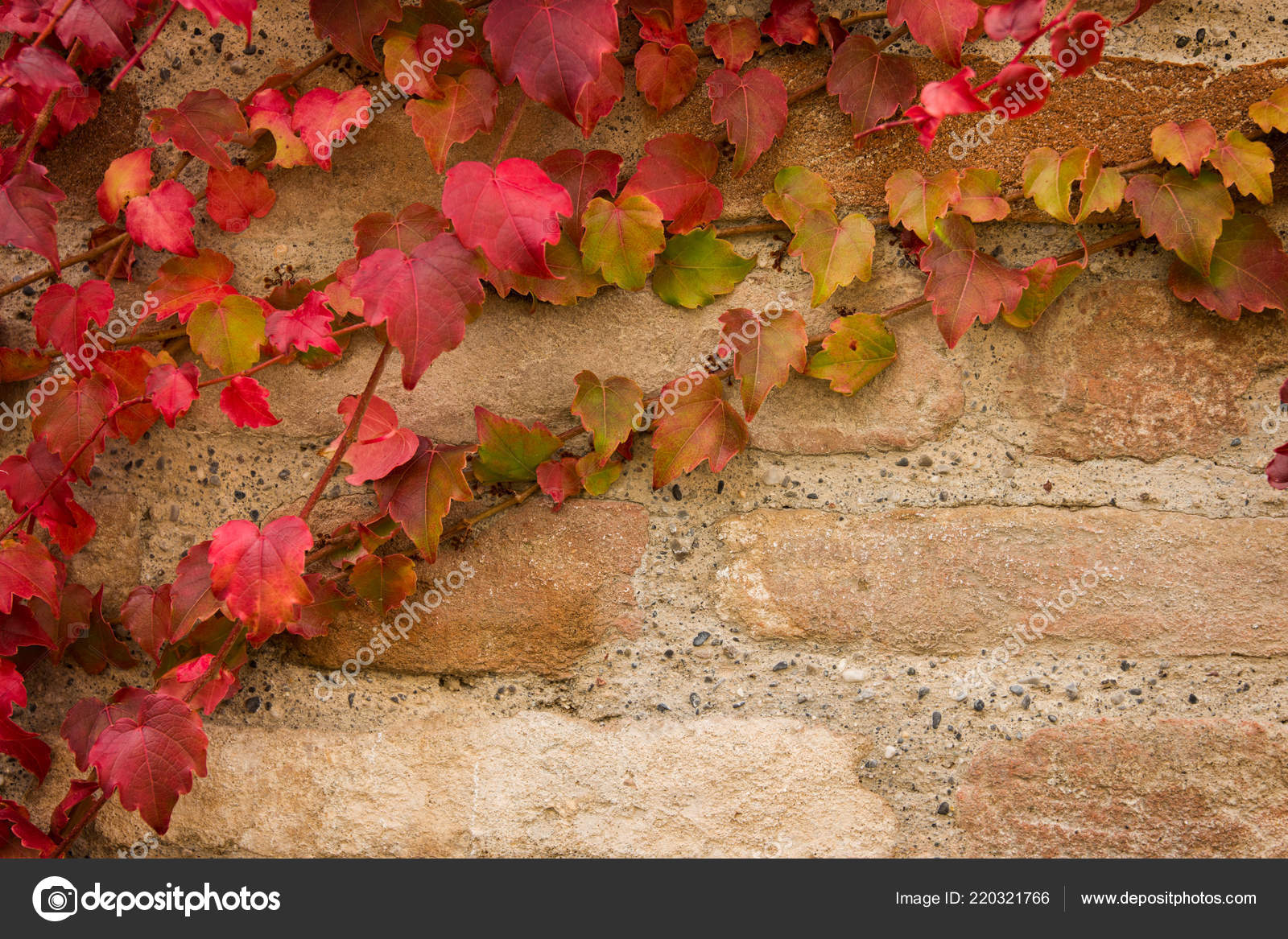 Фон Осень Стена - HD Wallpaper 