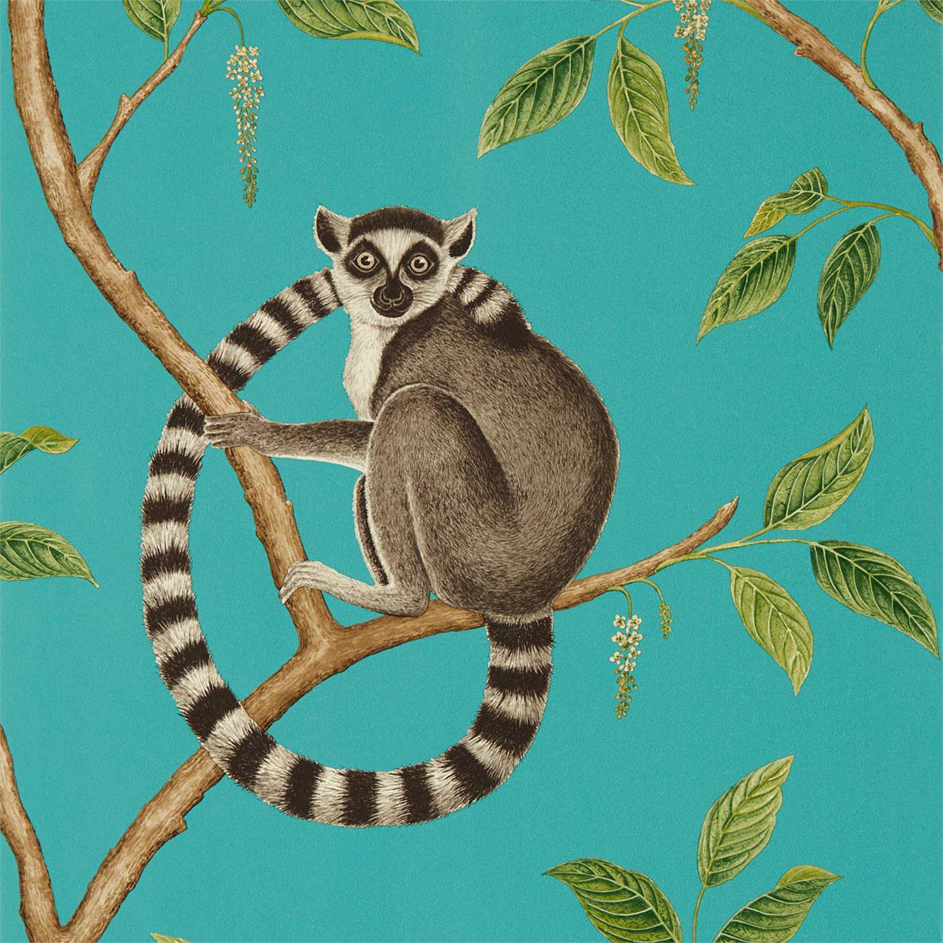 Ringtailed Lemur, A Wallpaper By Sanderson, Part Of - Sanderson Ringtailed Lemur - HD Wallpaper 