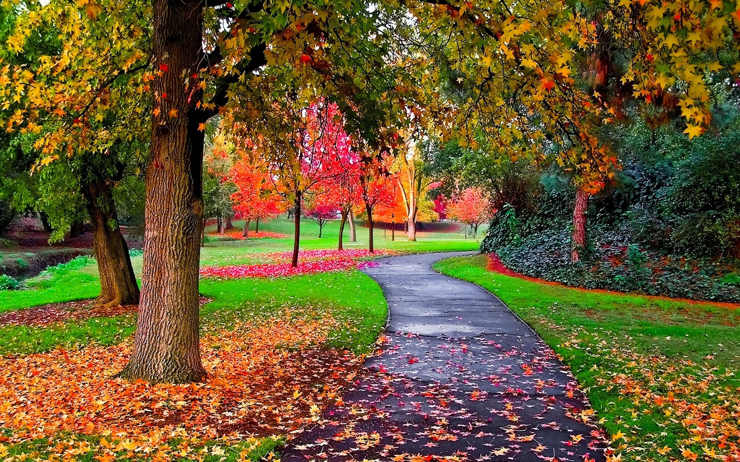 Autumn Screensavers And Wallpaper - Nature Wallpaper Hd 3d - HD Wallpaper 