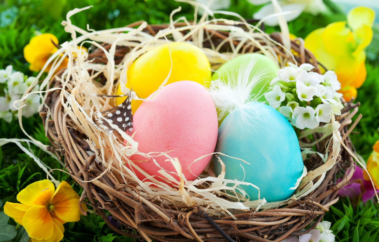 Photo Wallpaper Eggs, Easter, Socket, Flowers, Spring, - Easter Eggs In Nest - HD Wallpaper 