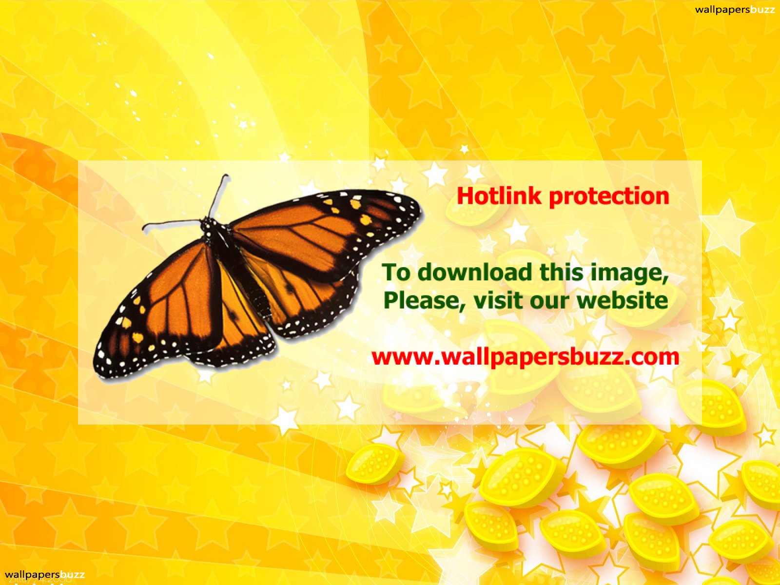 You Know About Butterflies - HD Wallpaper 