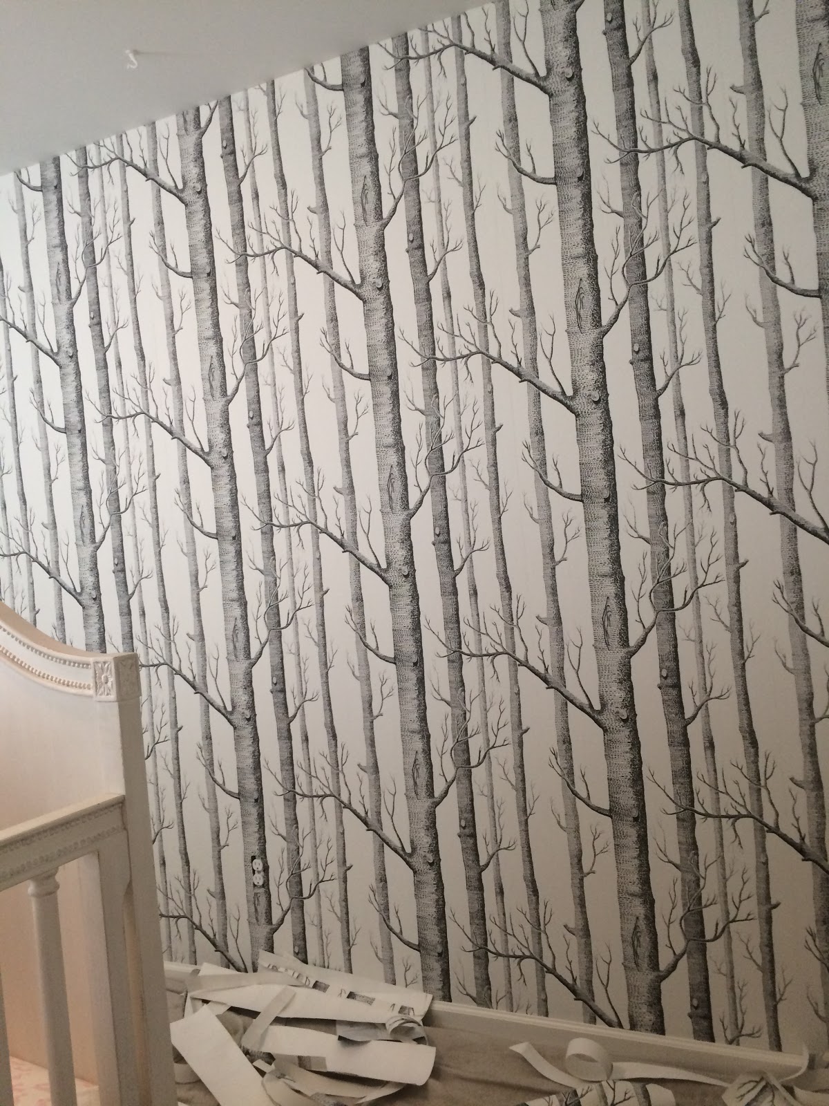 Cole And Son Woods - HD Wallpaper 